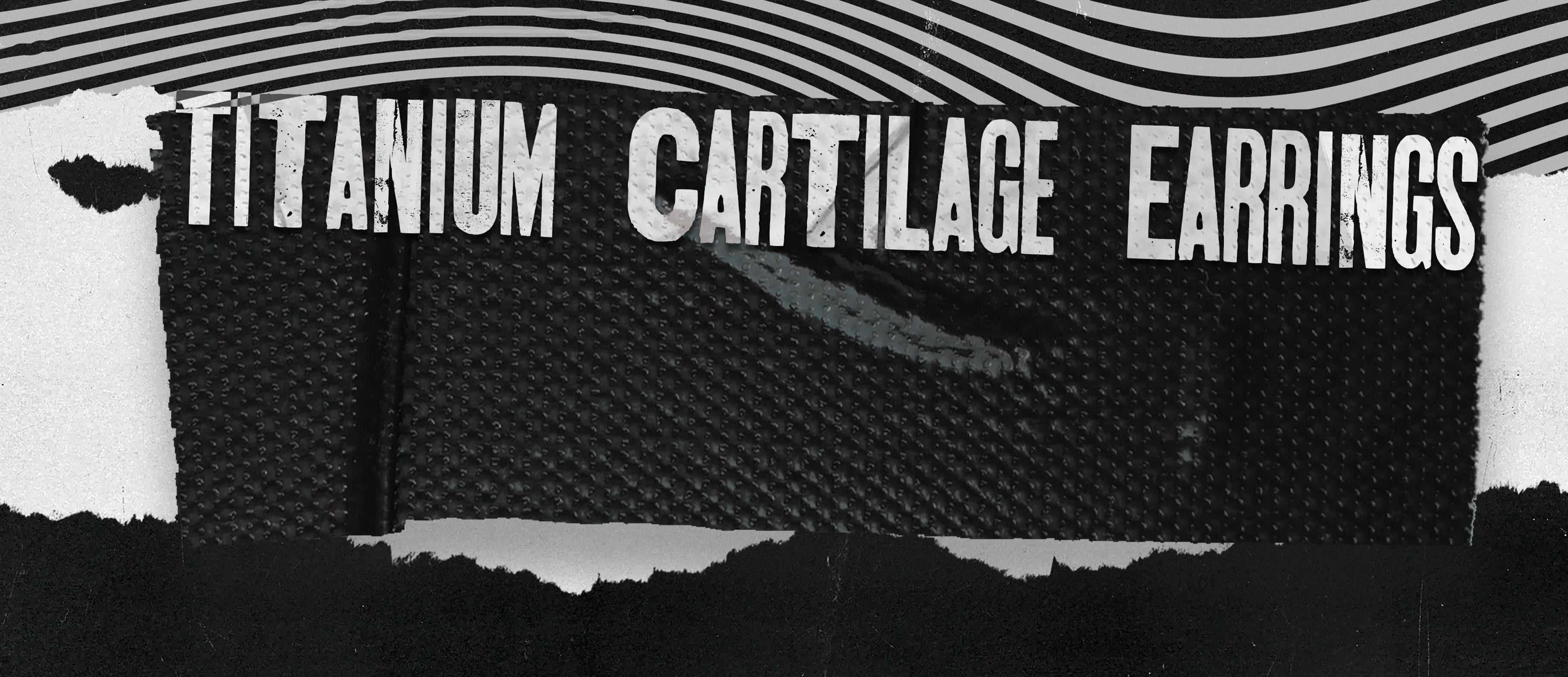 Titanium Cartilage Earrings Titanium Cartilage Hoops Page 11