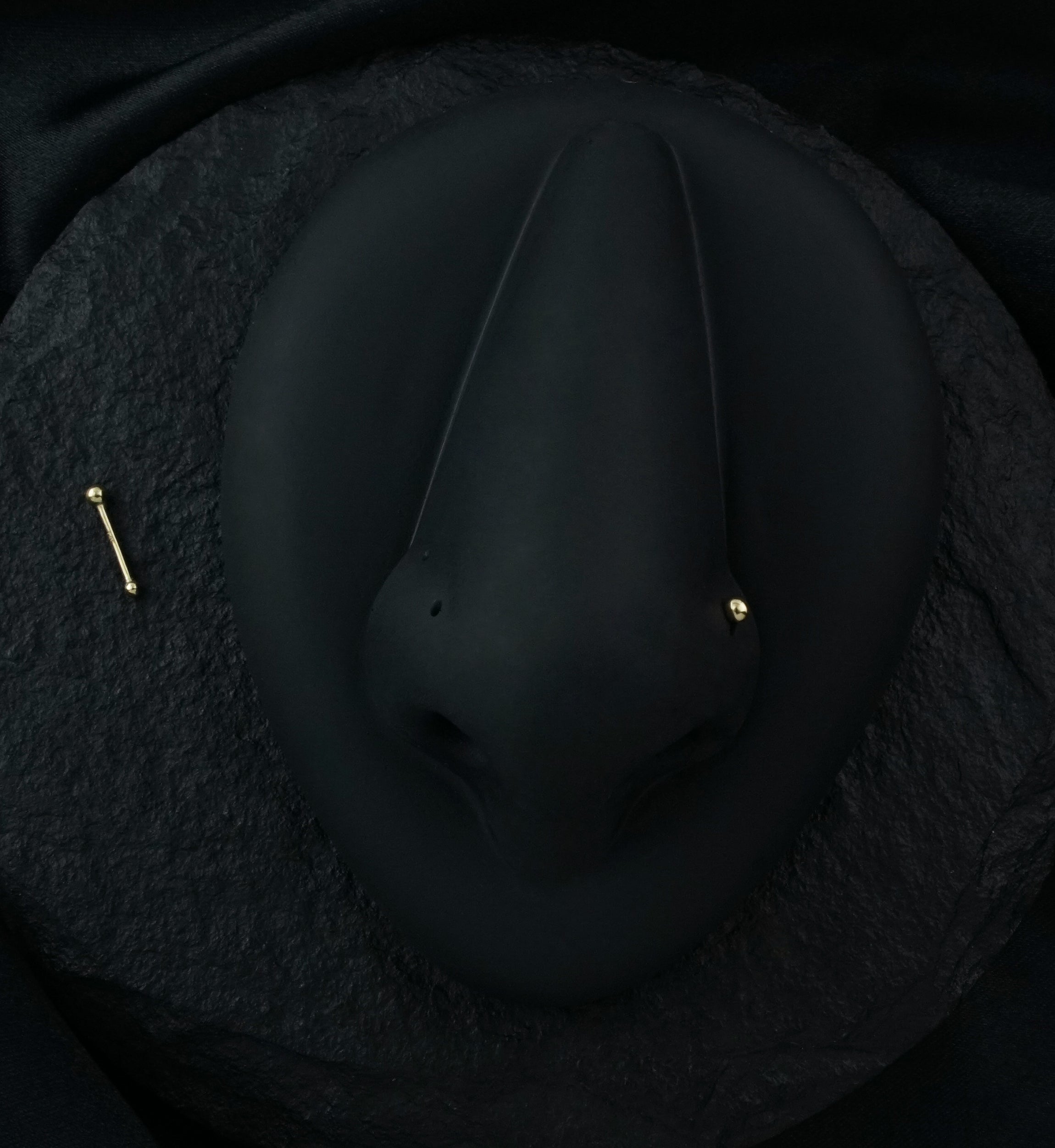 14kt Gold Ball Top Nosebone