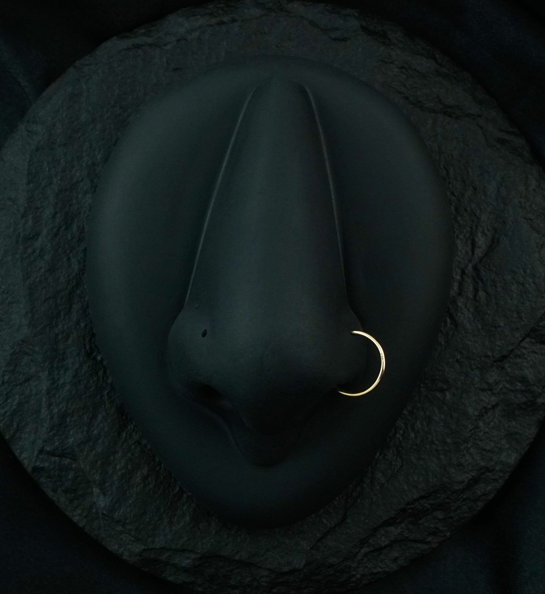 14kt Gold Hoop Nose Ring