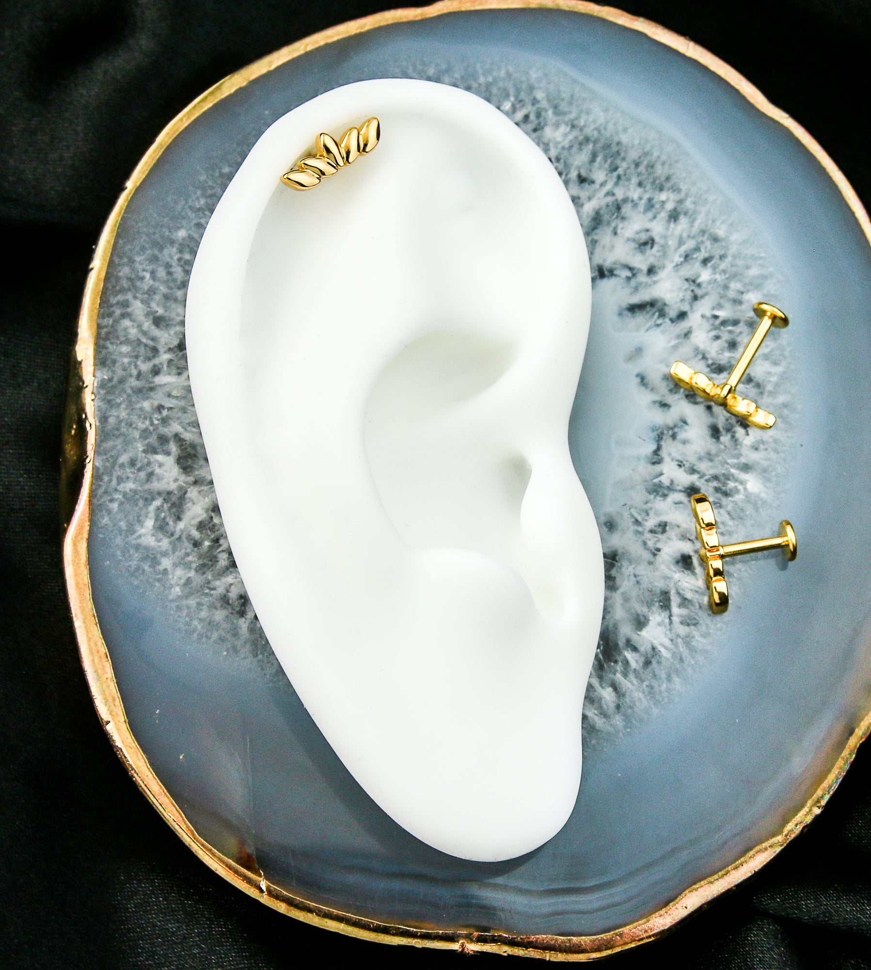 16G Gold PVD Internally Threaded Crest Steel Labret