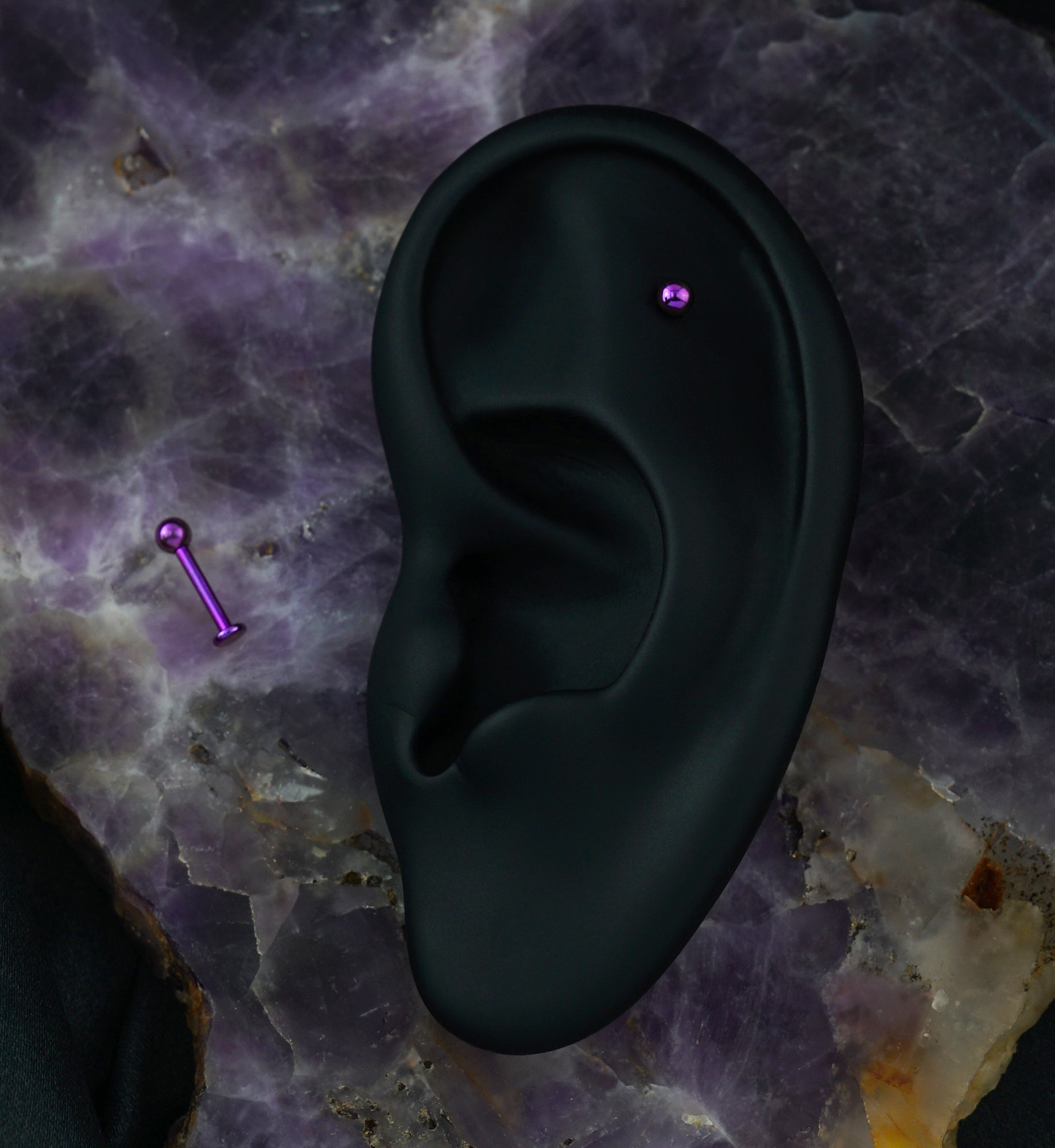 Purple PVD Titanium Labret