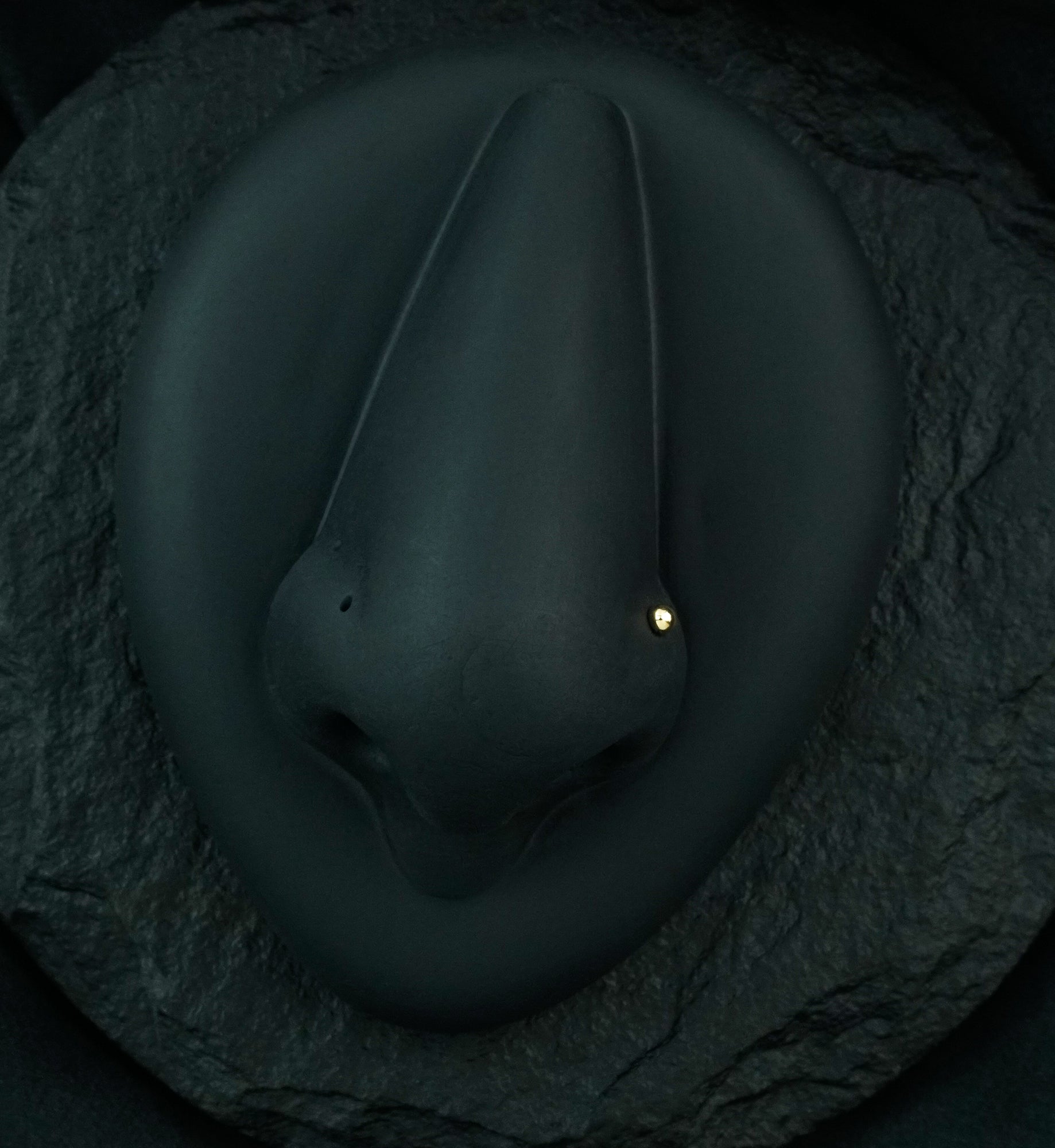 20G 14kt Gold Dome Top Nose Screw