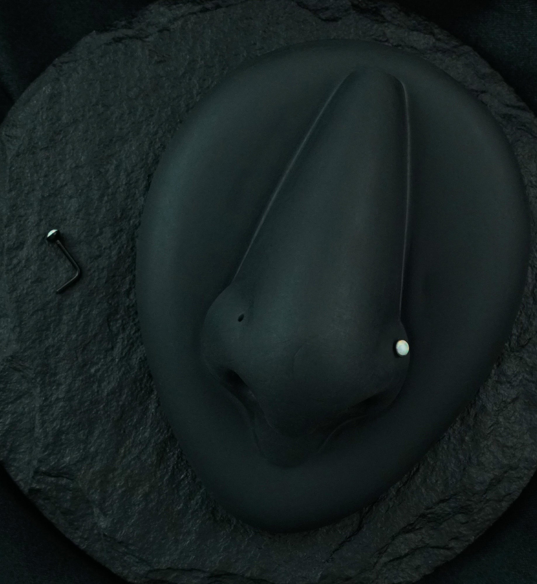 20G Black PVD White Opalite L Bend Nose Ring