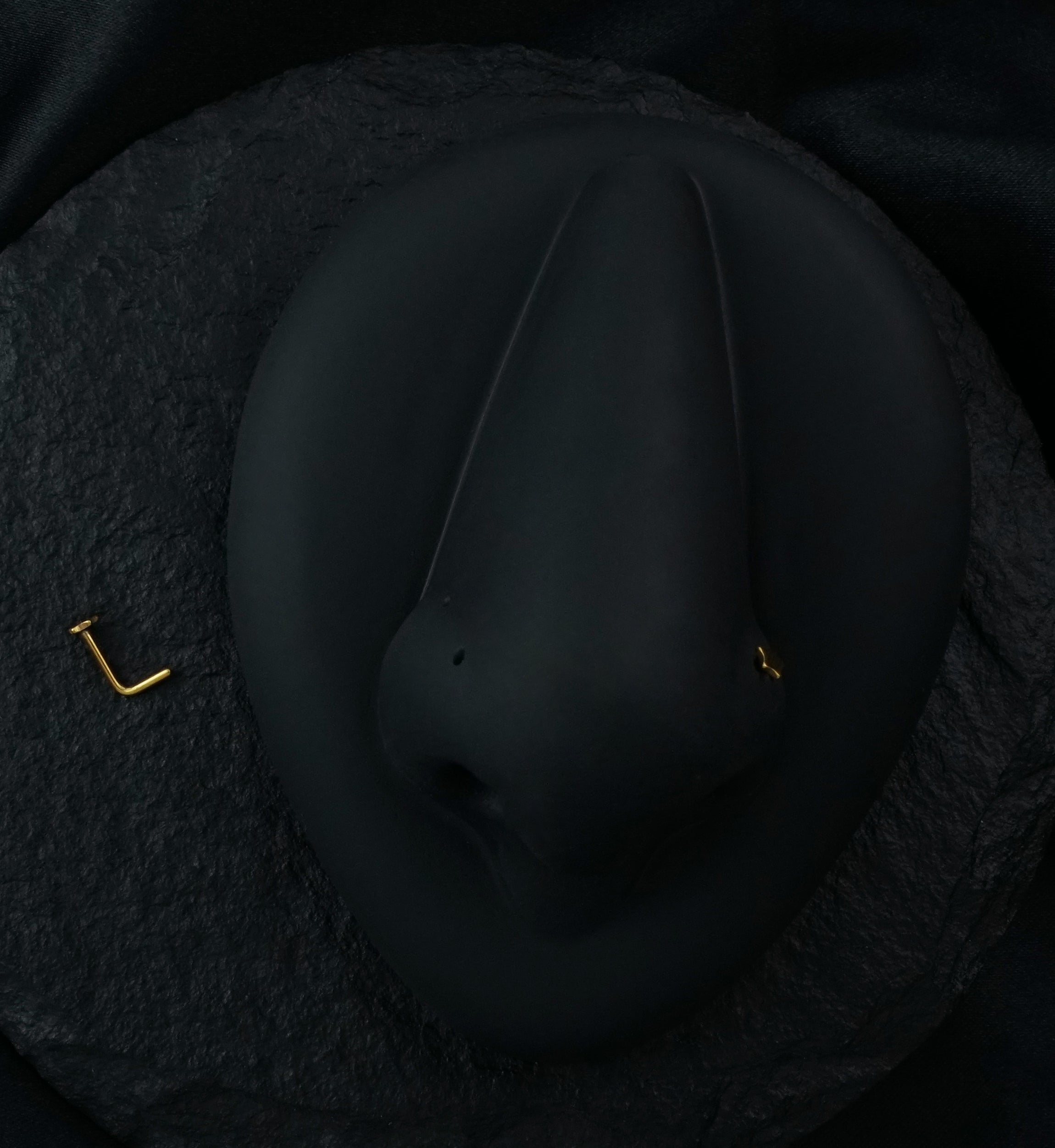 20G Golden Star Top Stainless Steel L Bend Nose Ring