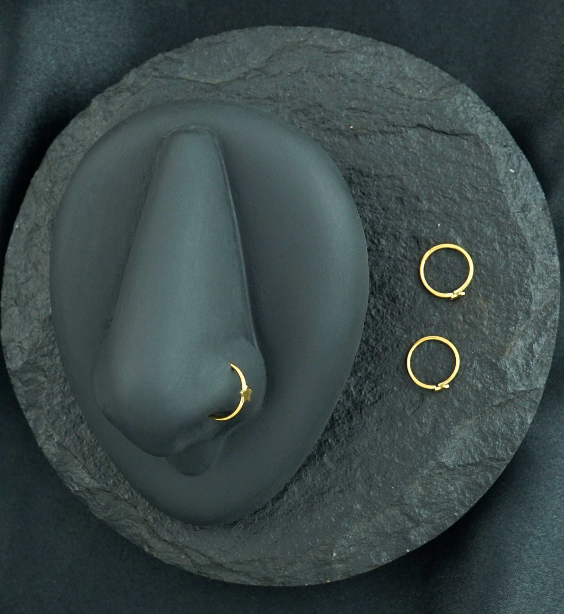 20G Star Gold PVD Steel Nose Ring Hoop