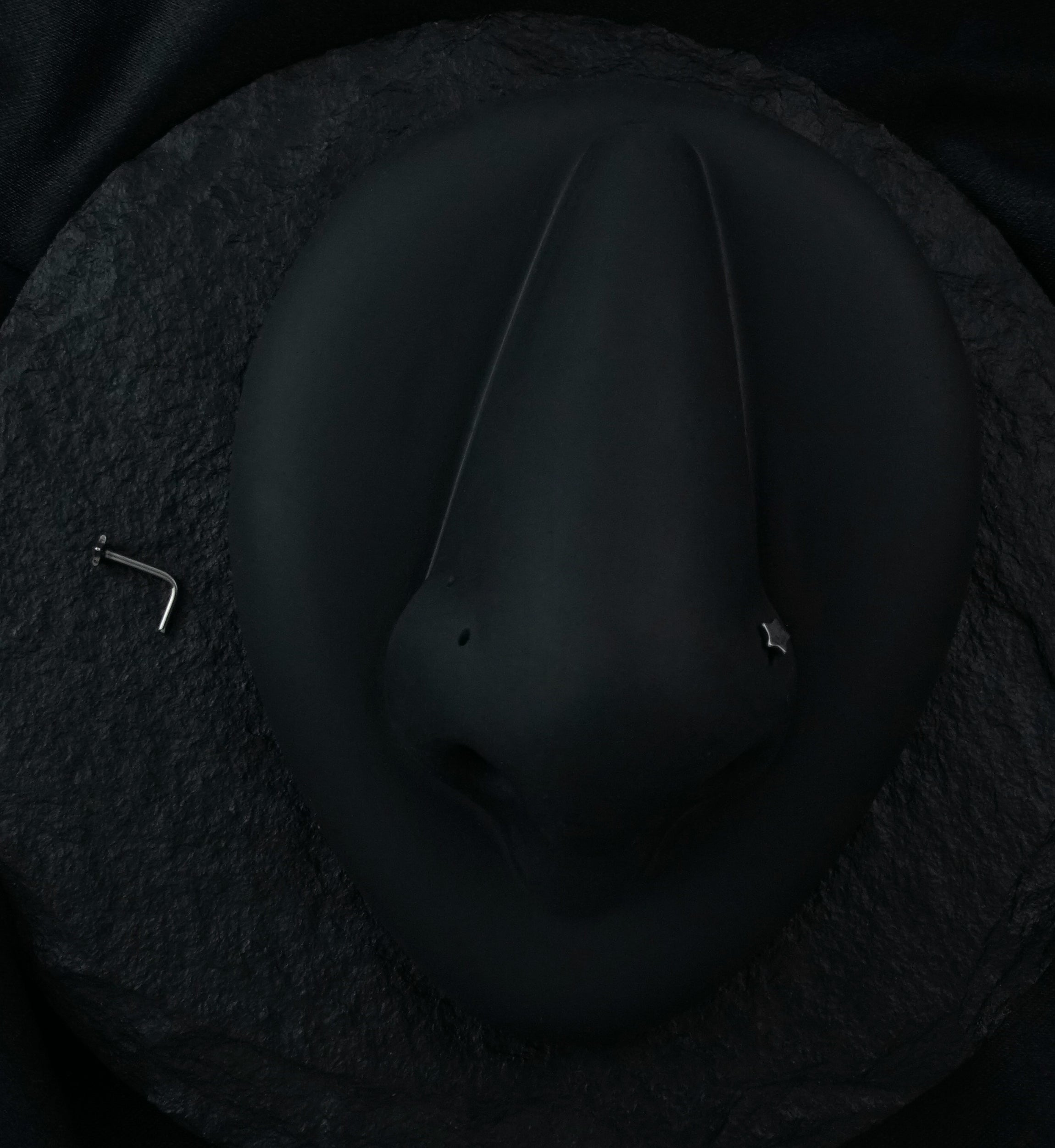 20G Star Top Stainless Steel L Bend Nose Ring