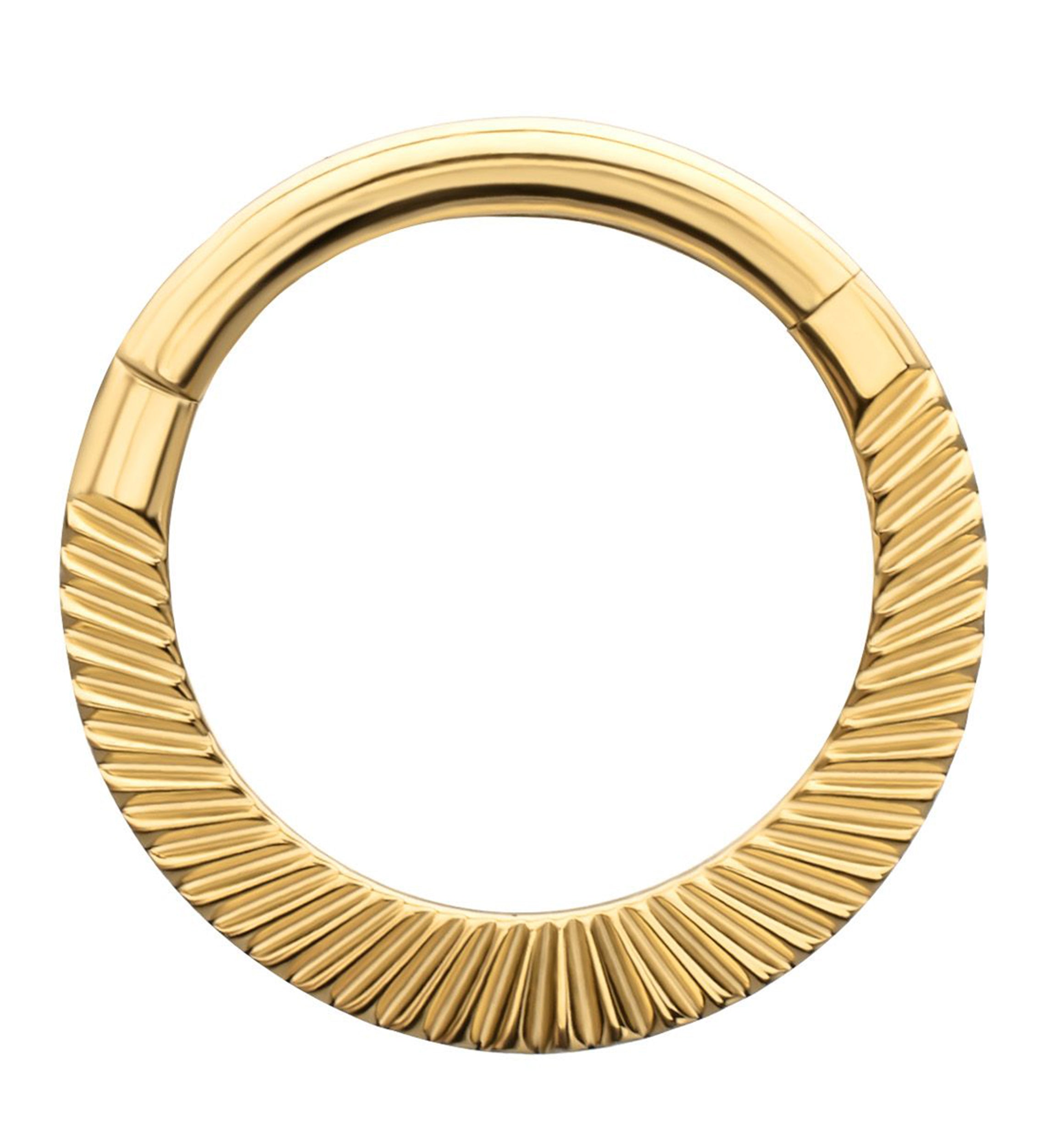 24kt Gold PVD Corrugated Hoop Titanium Hinged Segment Ring