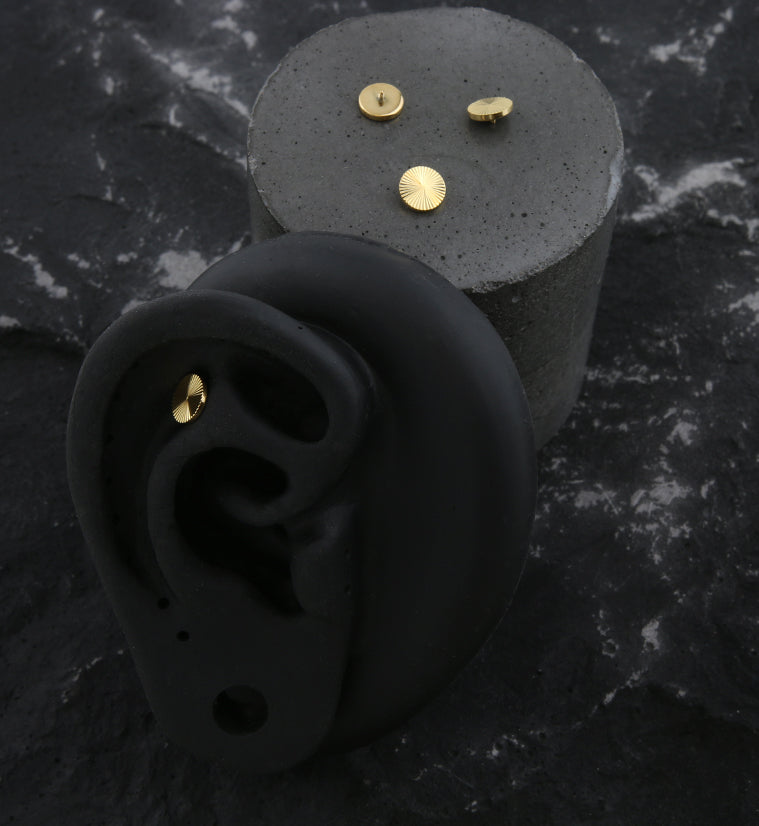 24kt Gold PVD Score Disk Internally Threaded Top