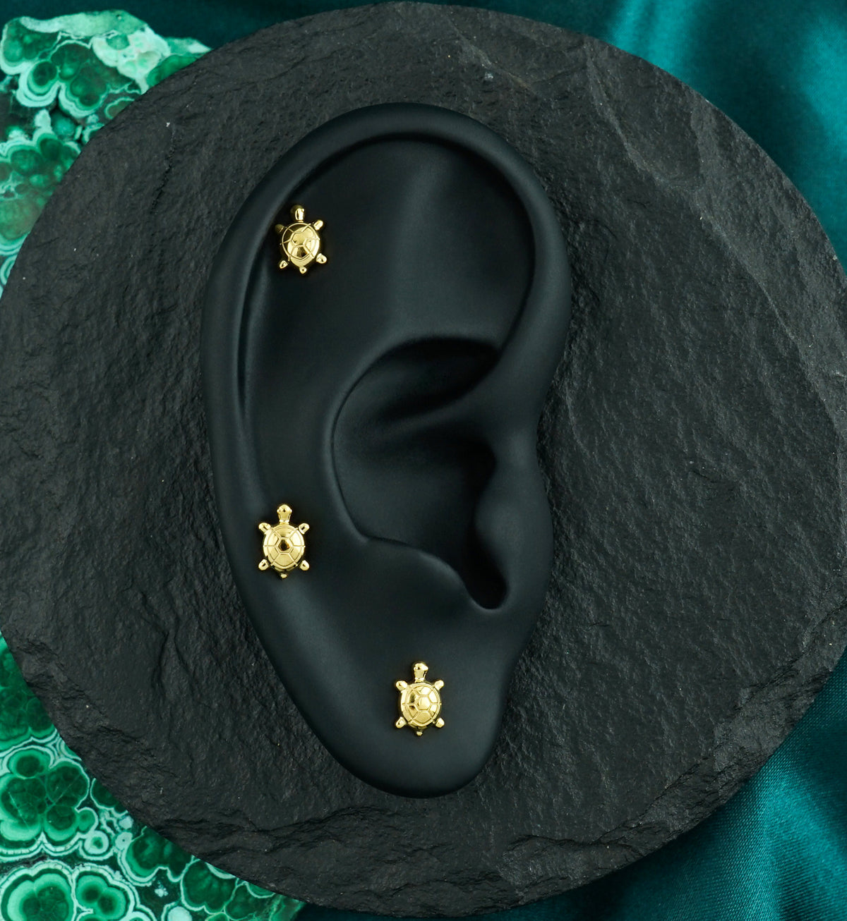24kt Gold PVD Tortoise Titanium Threadless Top