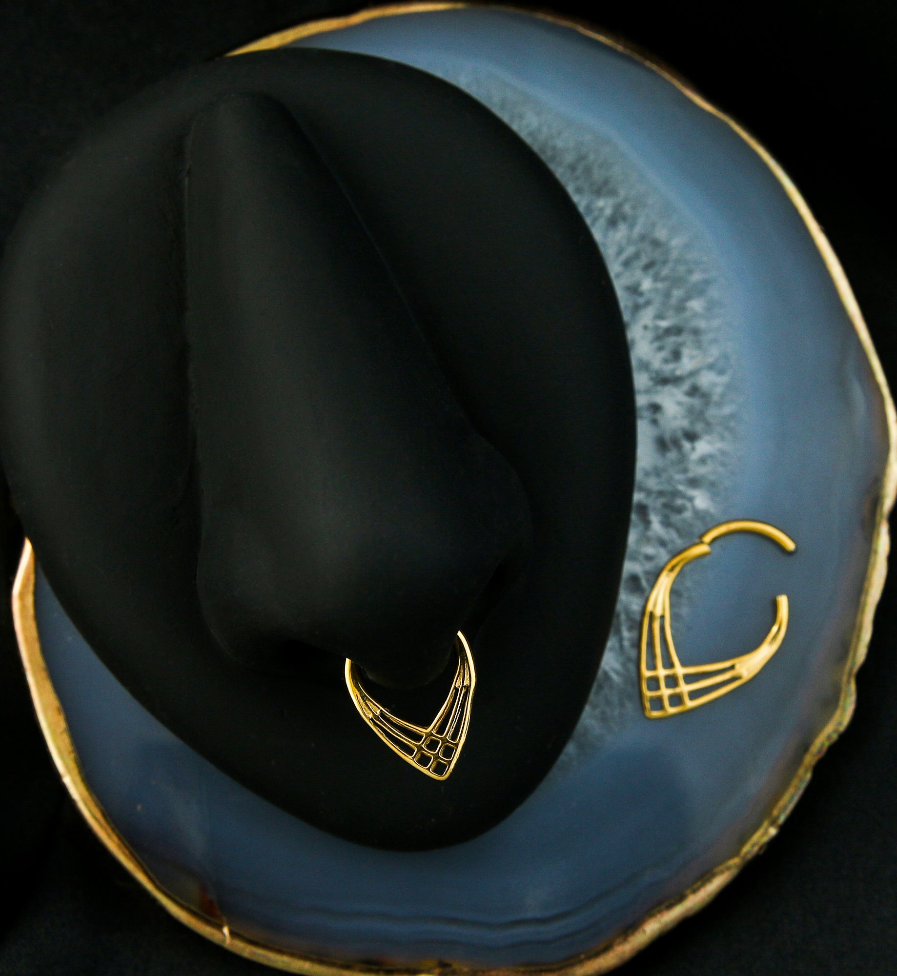 Gold PVD Criss Cross Teardrop Titanium Segment Ring