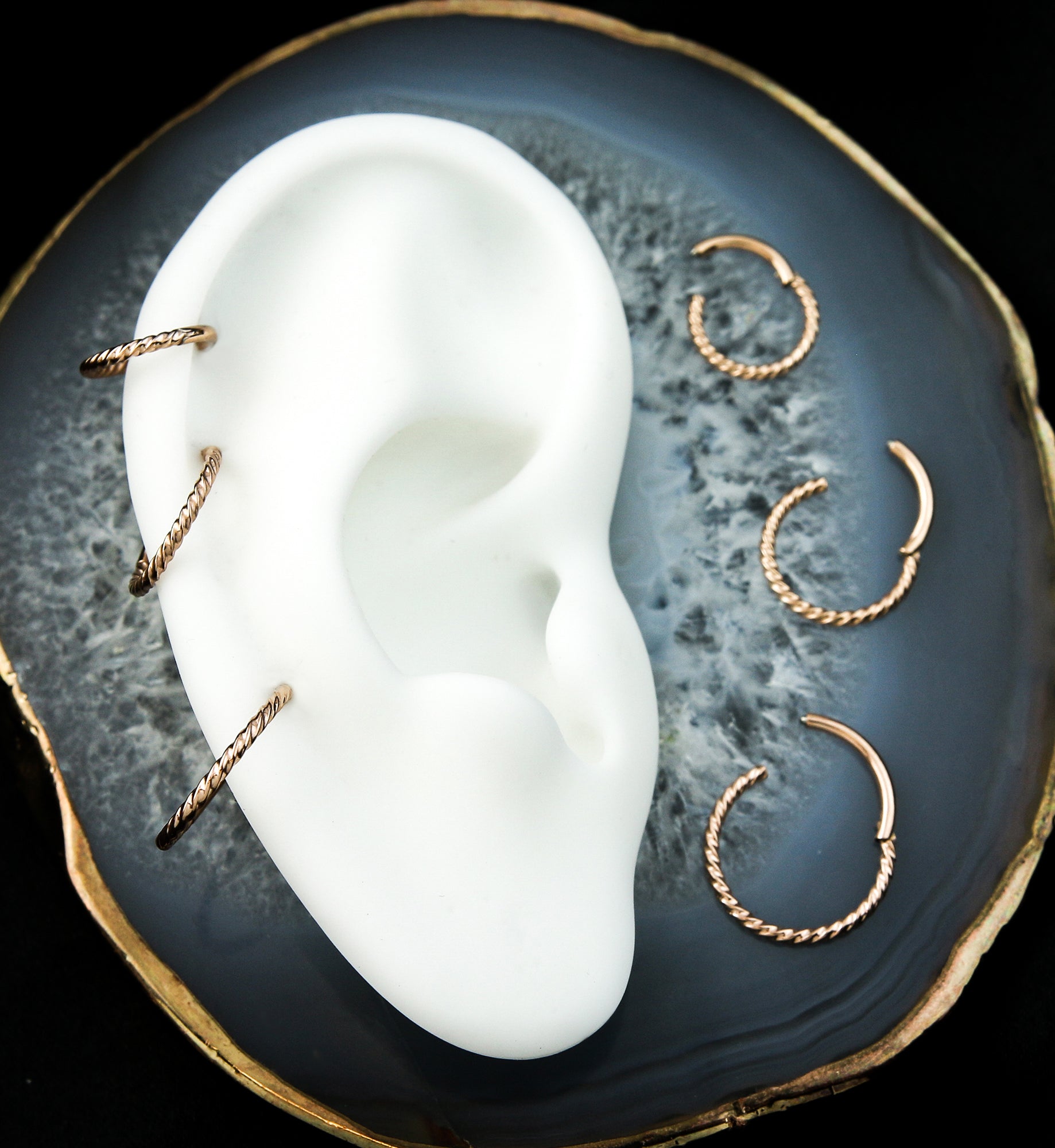 Rose Gold PVD Twisted Titanium Segment Ring