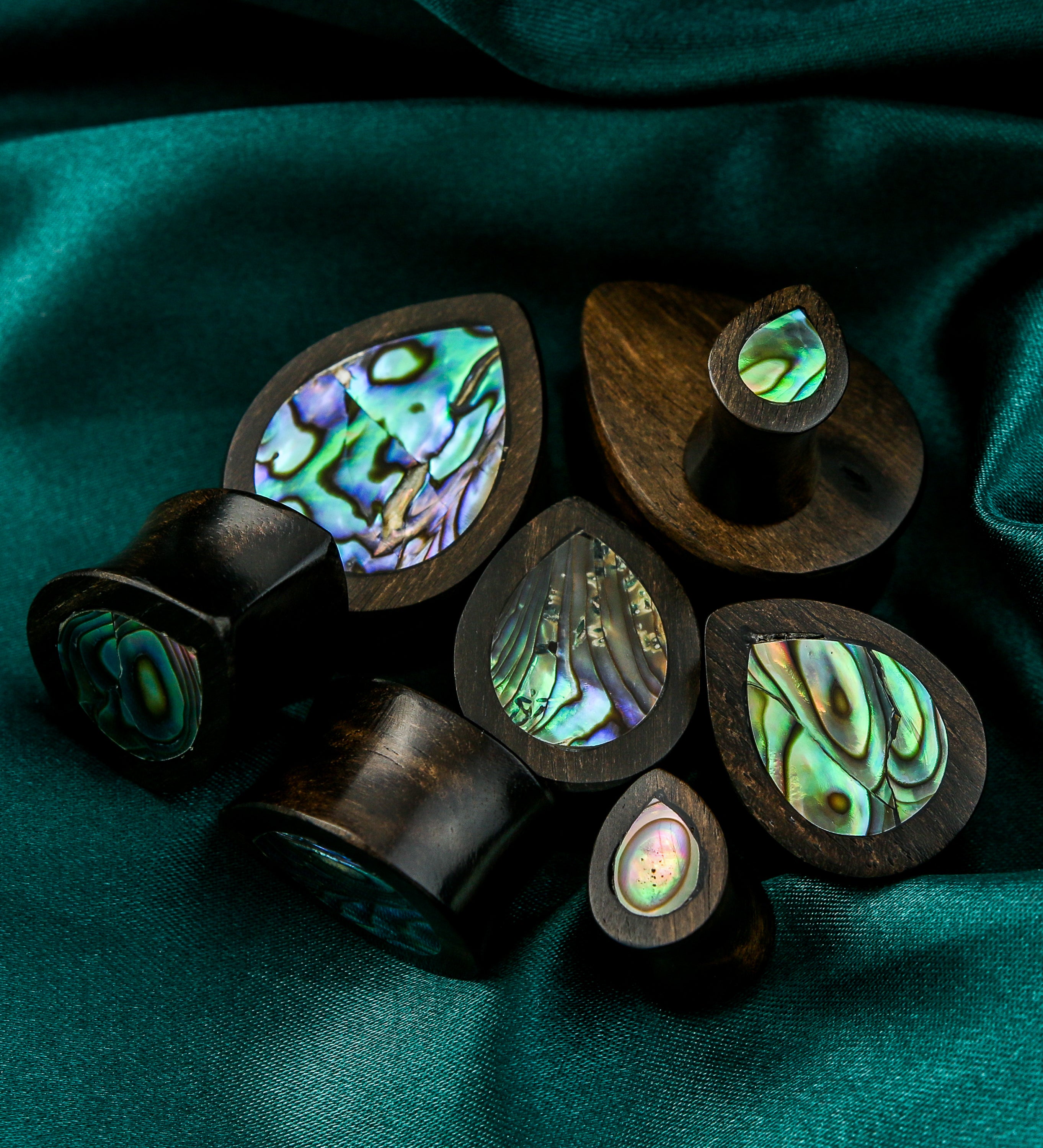 Abalone Shell Areng Wood Teardrop Plugs