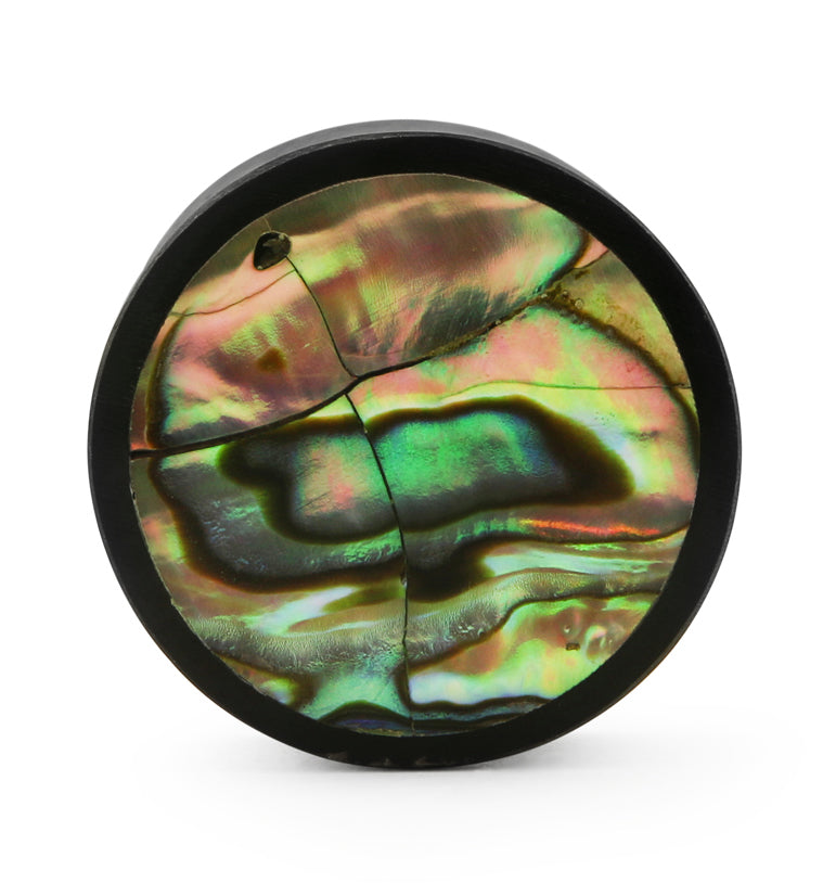 Horn Plugs With Abalone Shell Inlay