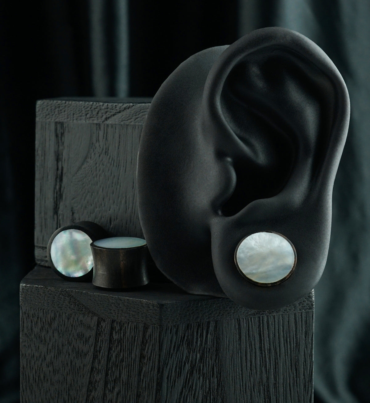 Areng Wood Plugs with Mother of Pearl Inlay