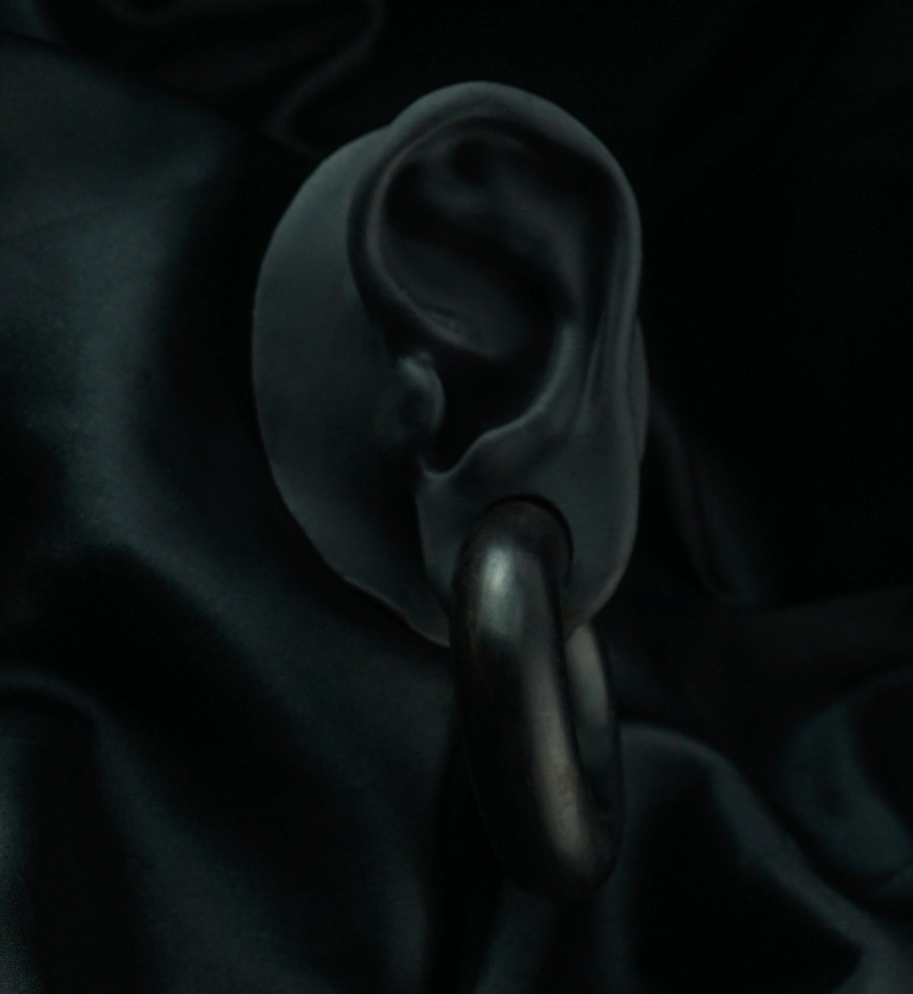 Areng Wooden Hoop Plugs