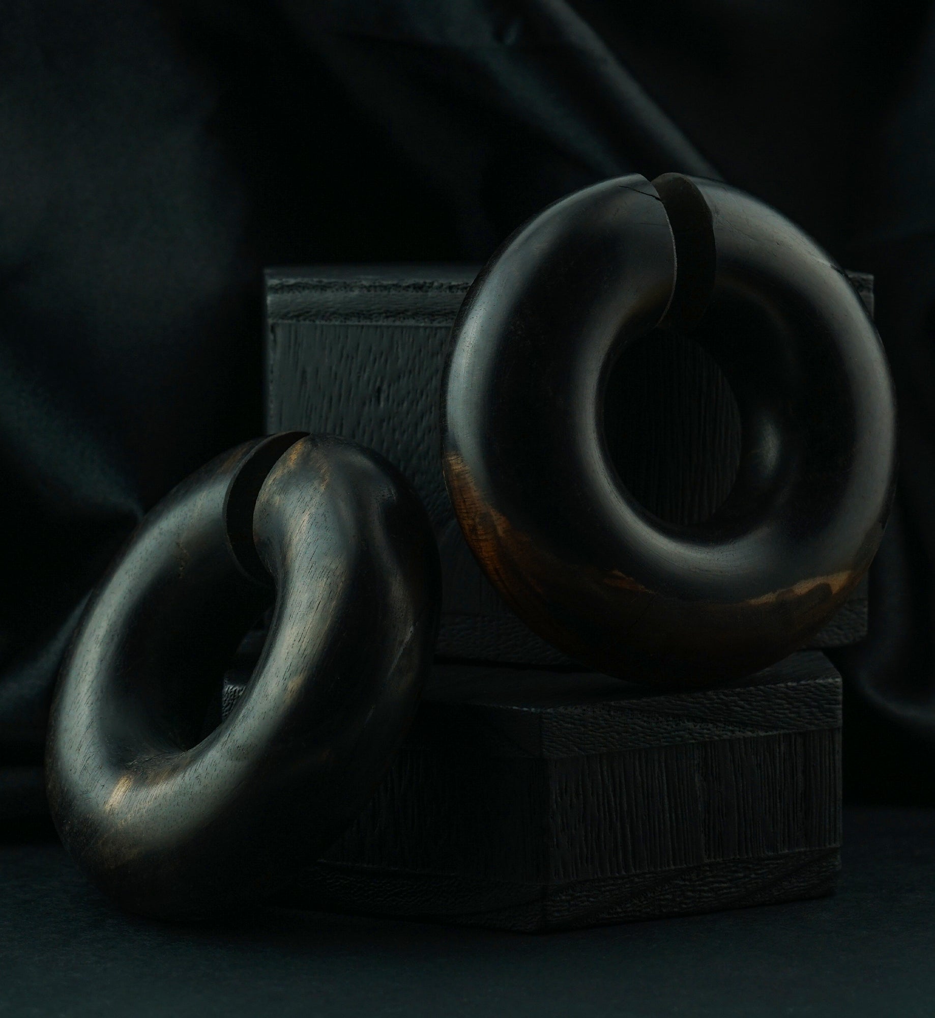 Areng Wooden Hoop Plugs