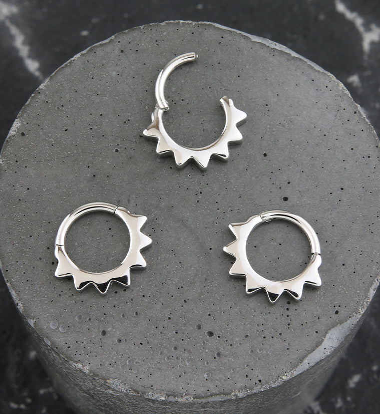 Beam Stainless Steel Hinged Segment Ring