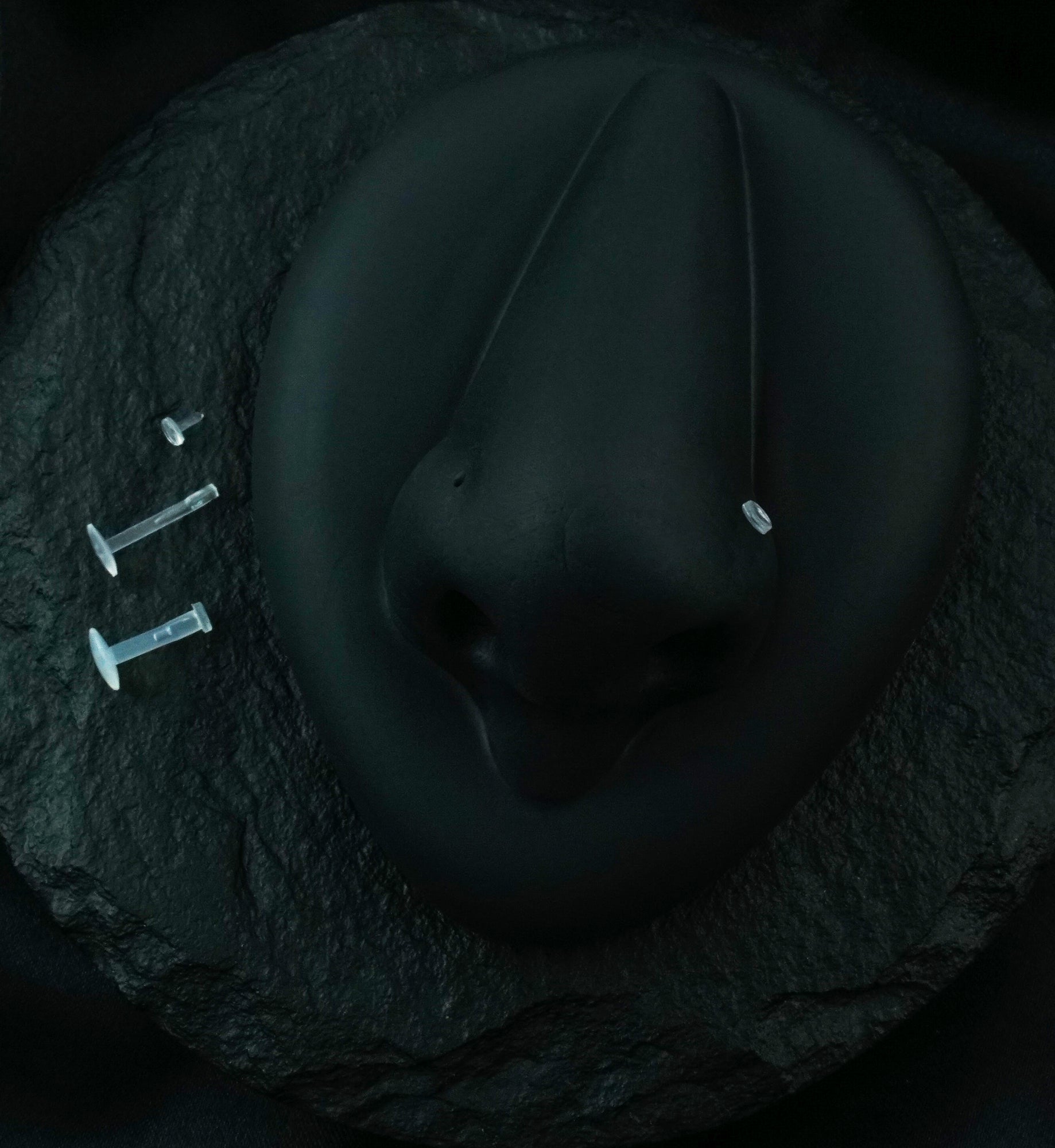 Clear Push Pin Retainer Labret Stud