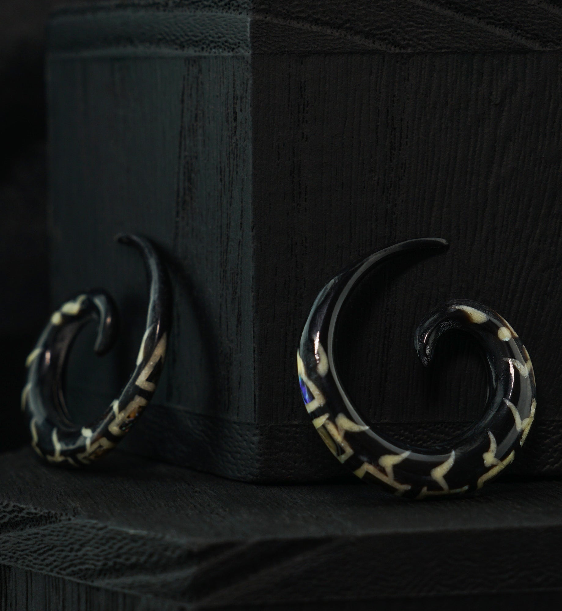 Black Horn Spirals Abalone Inlay