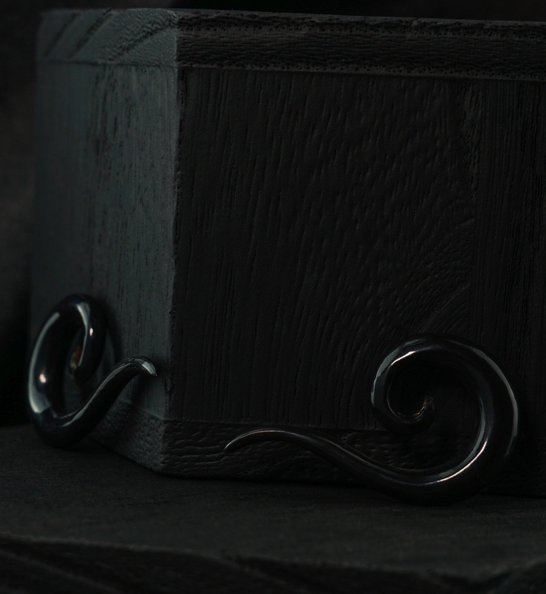 Black Horn Tail Semi-Spirals