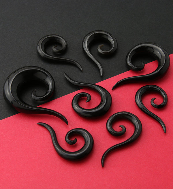 Black Horn Tail Semi-Spirals