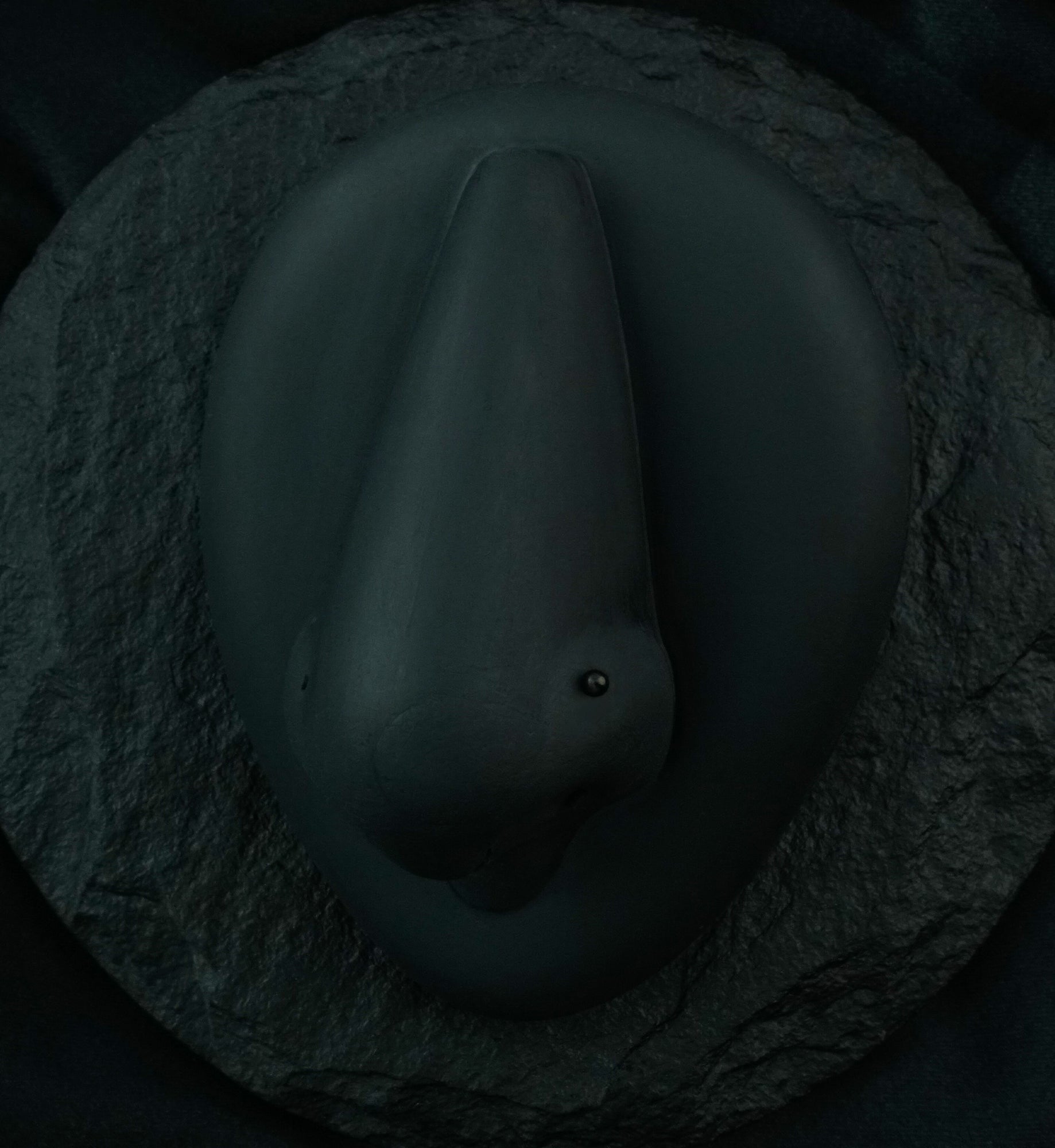 Black PVD Ball Top L Bend Nose Ring