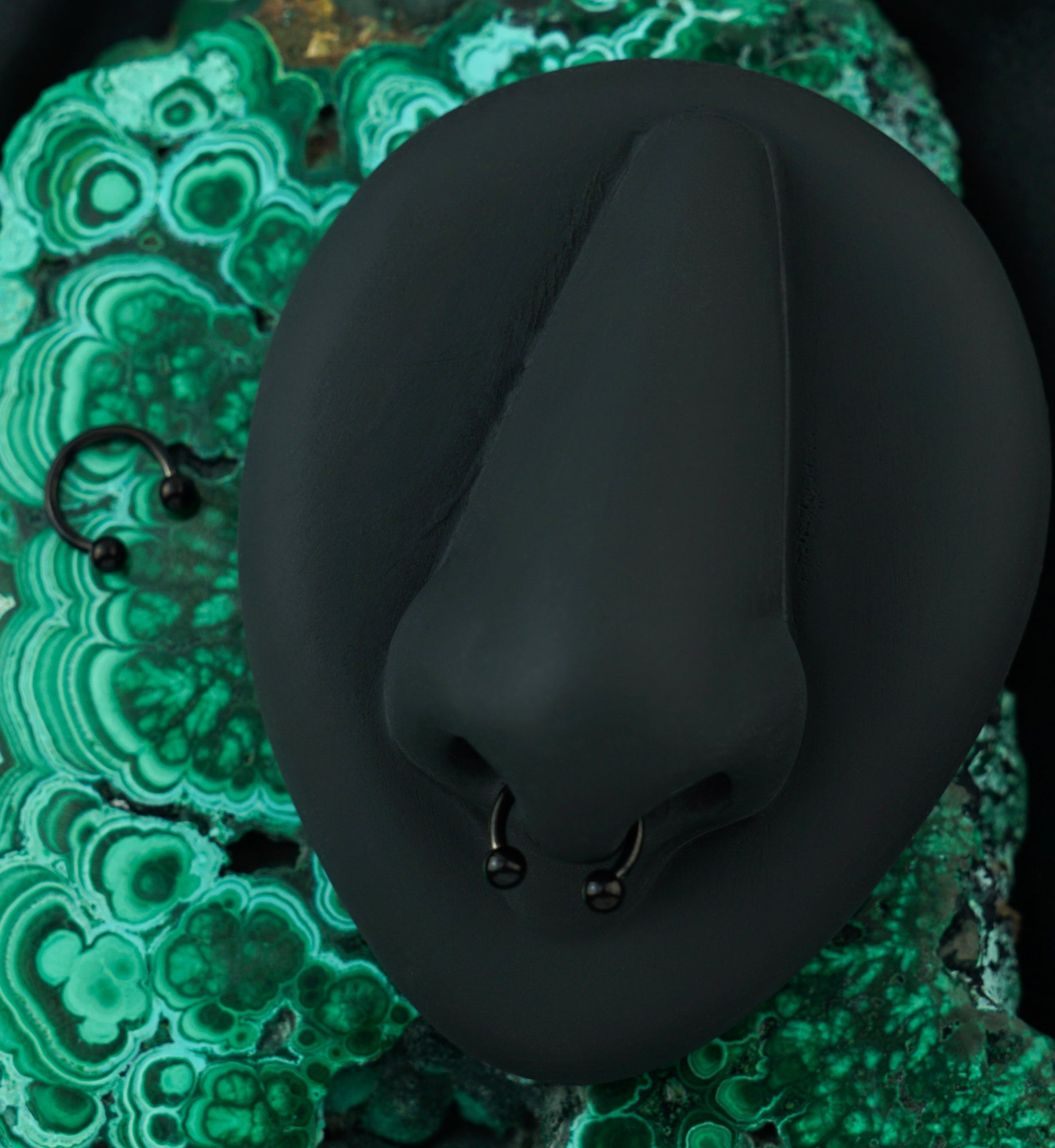 Black PVD Basic Titanium Circular Barbell