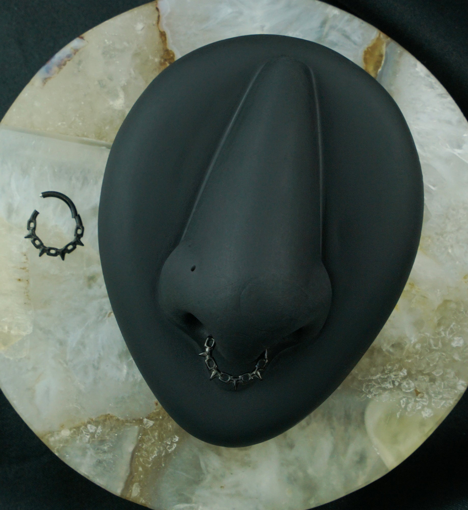 Black PVD Chain Link Spikes Stainless Steel Hinged Segment Ring