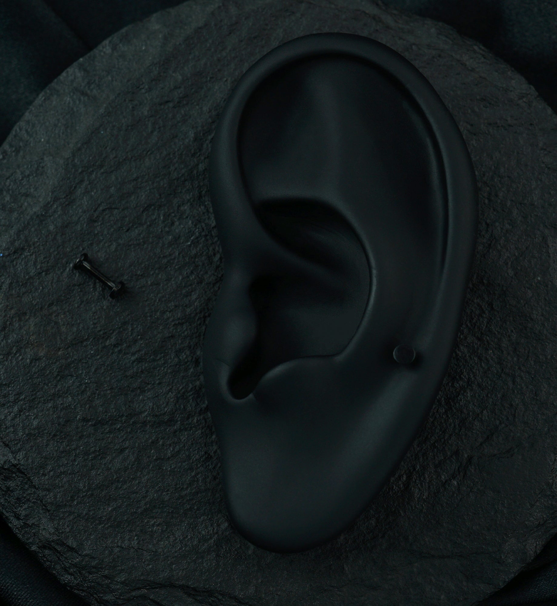 Black PVD Flat Disk Internally Threaded Titanium Labret