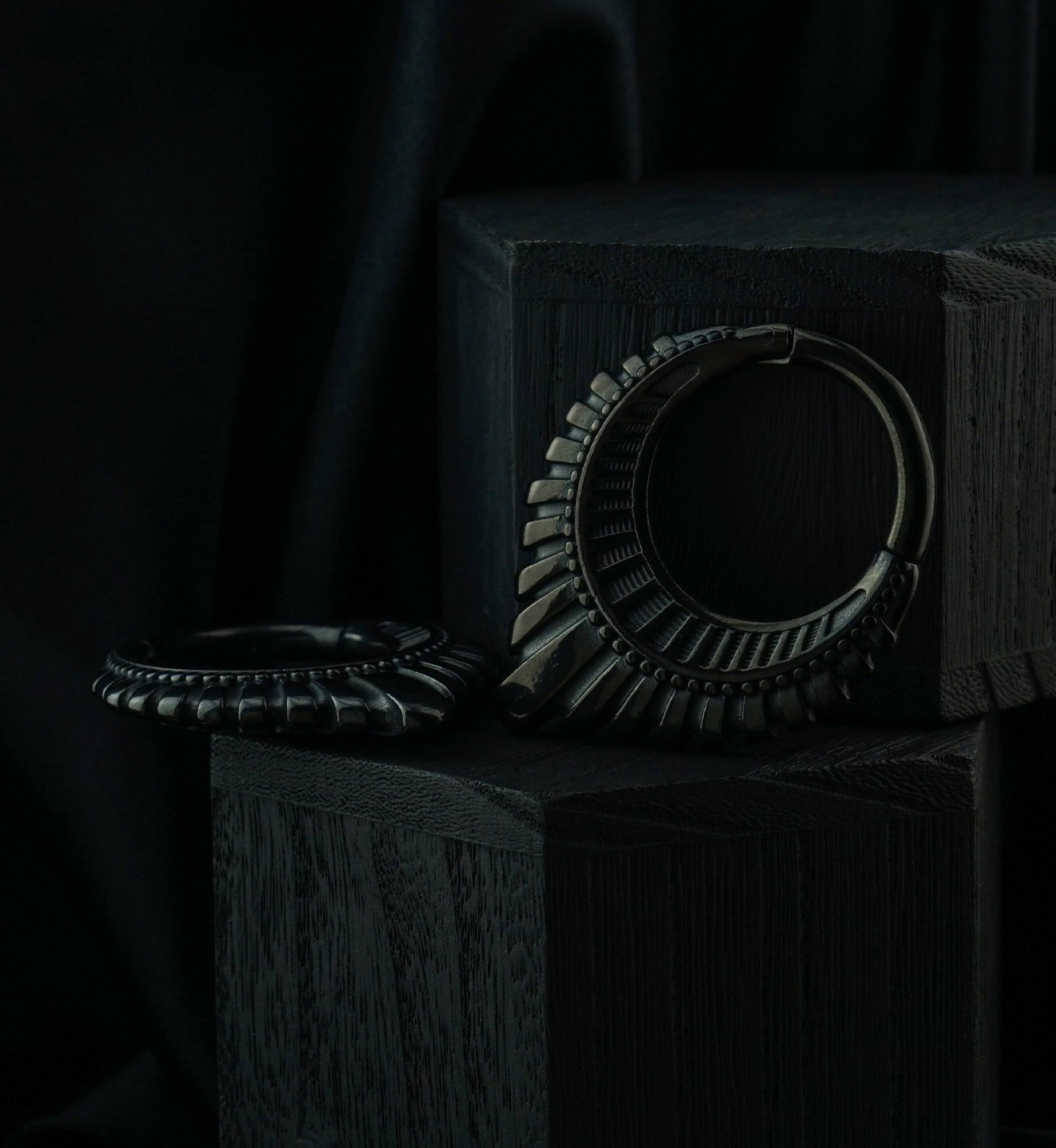 Black PVD Heraldry Pointed Stainless Steel Hinged Ear Weights