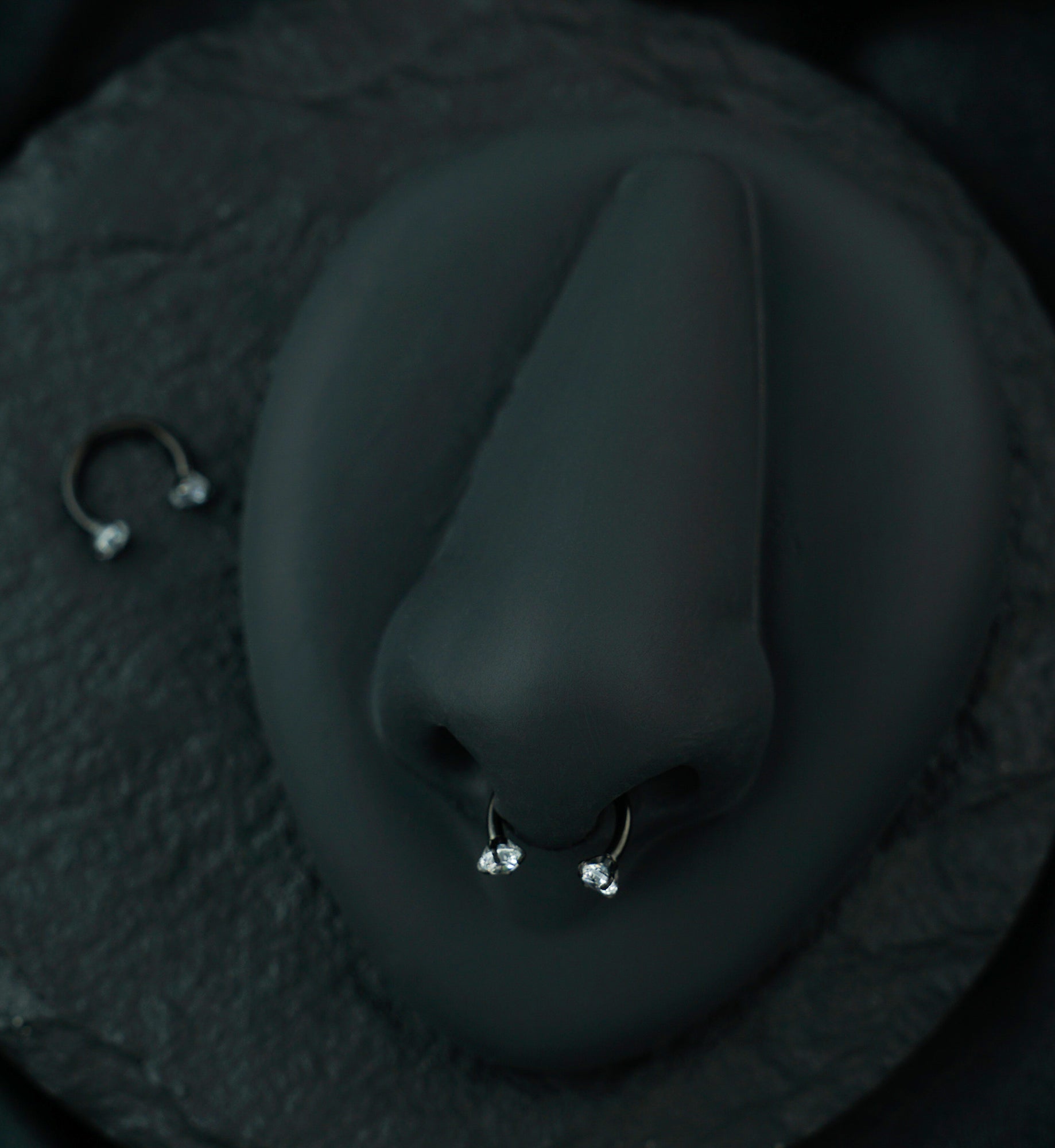 Black PVD Prong Set CZ Circular Barbell