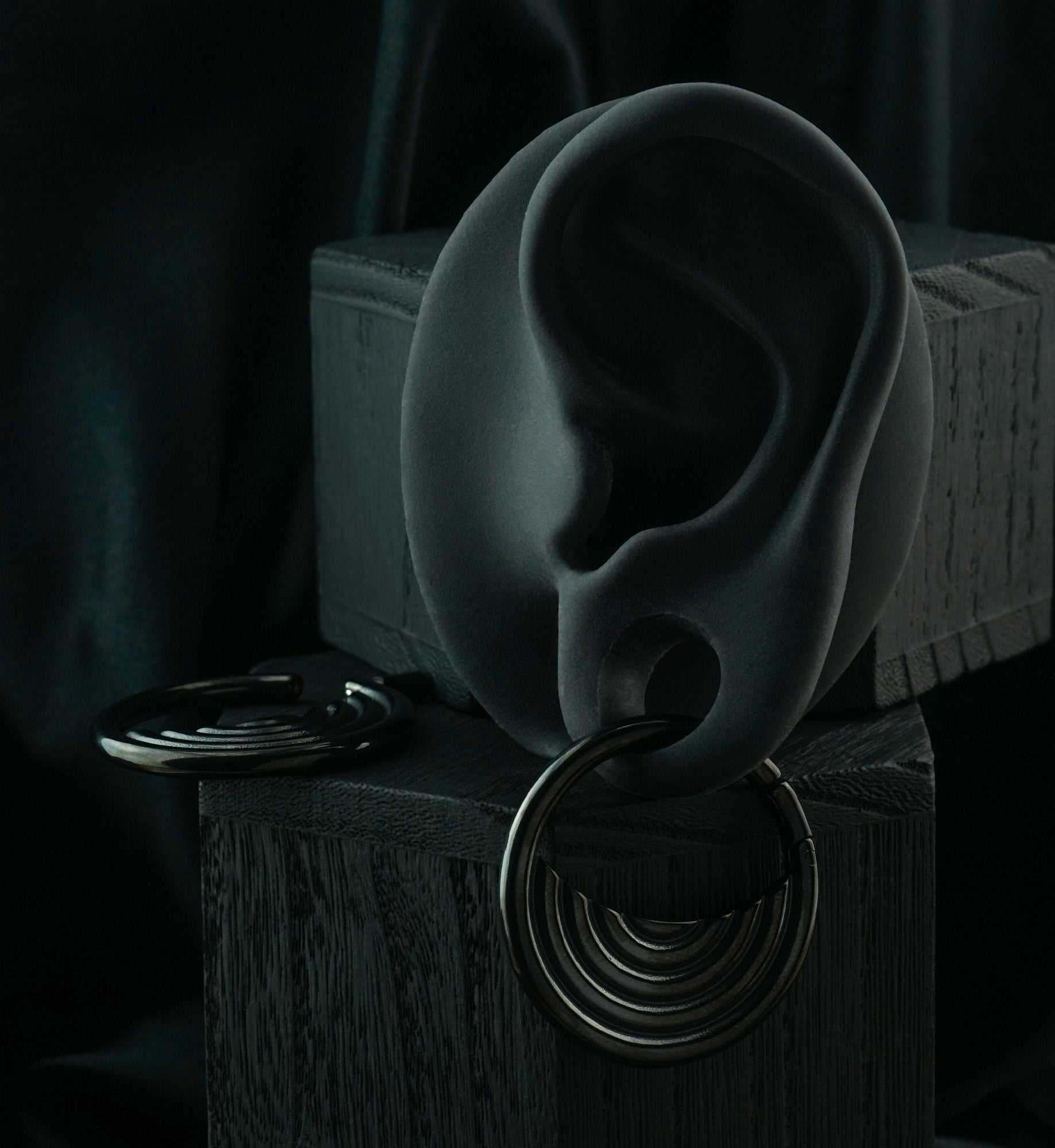 Black PVD Radial Stainless Steel Hinged Ear Weights