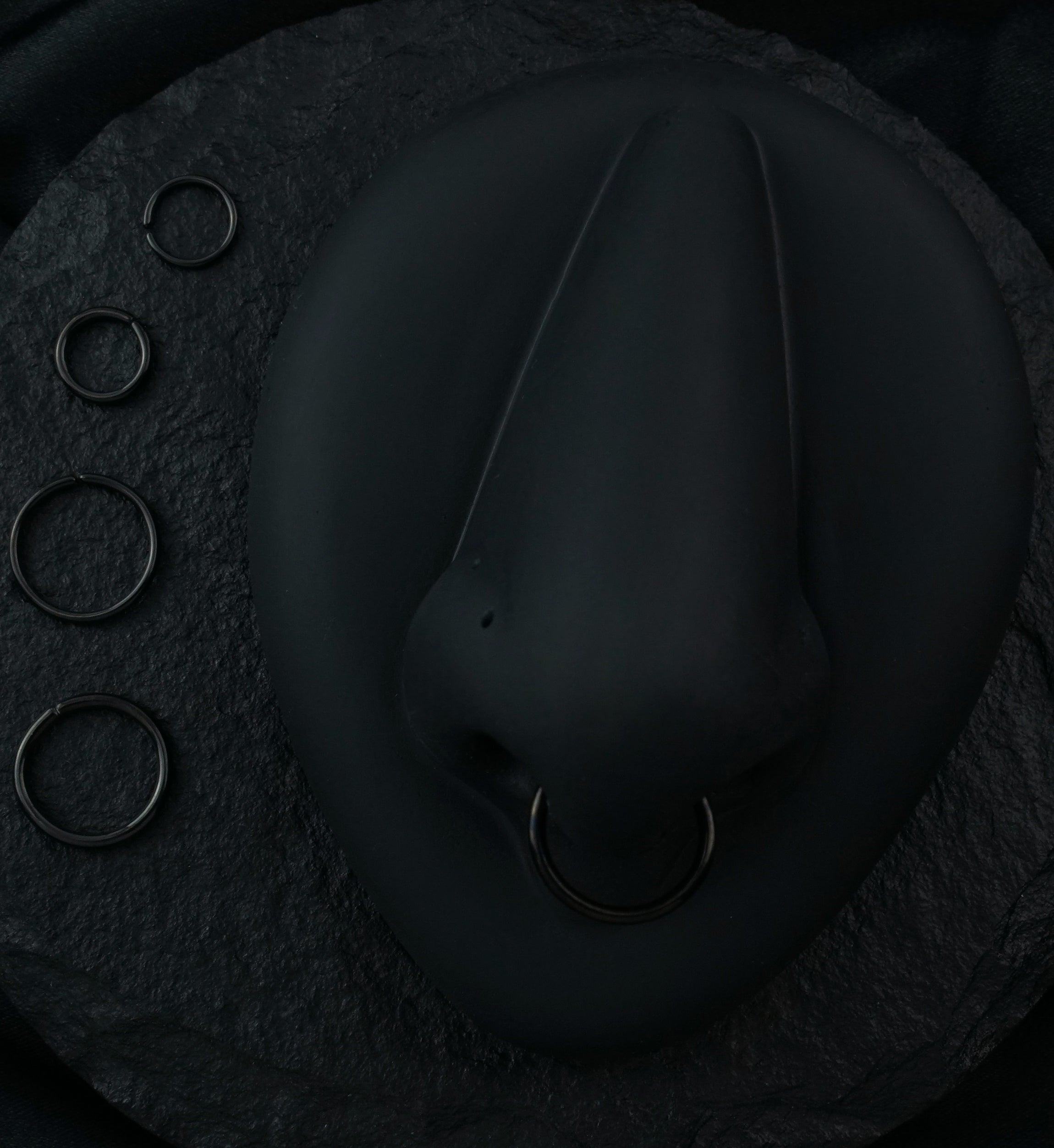 Black PVD Seamless Stainless Steel Hoop Ring