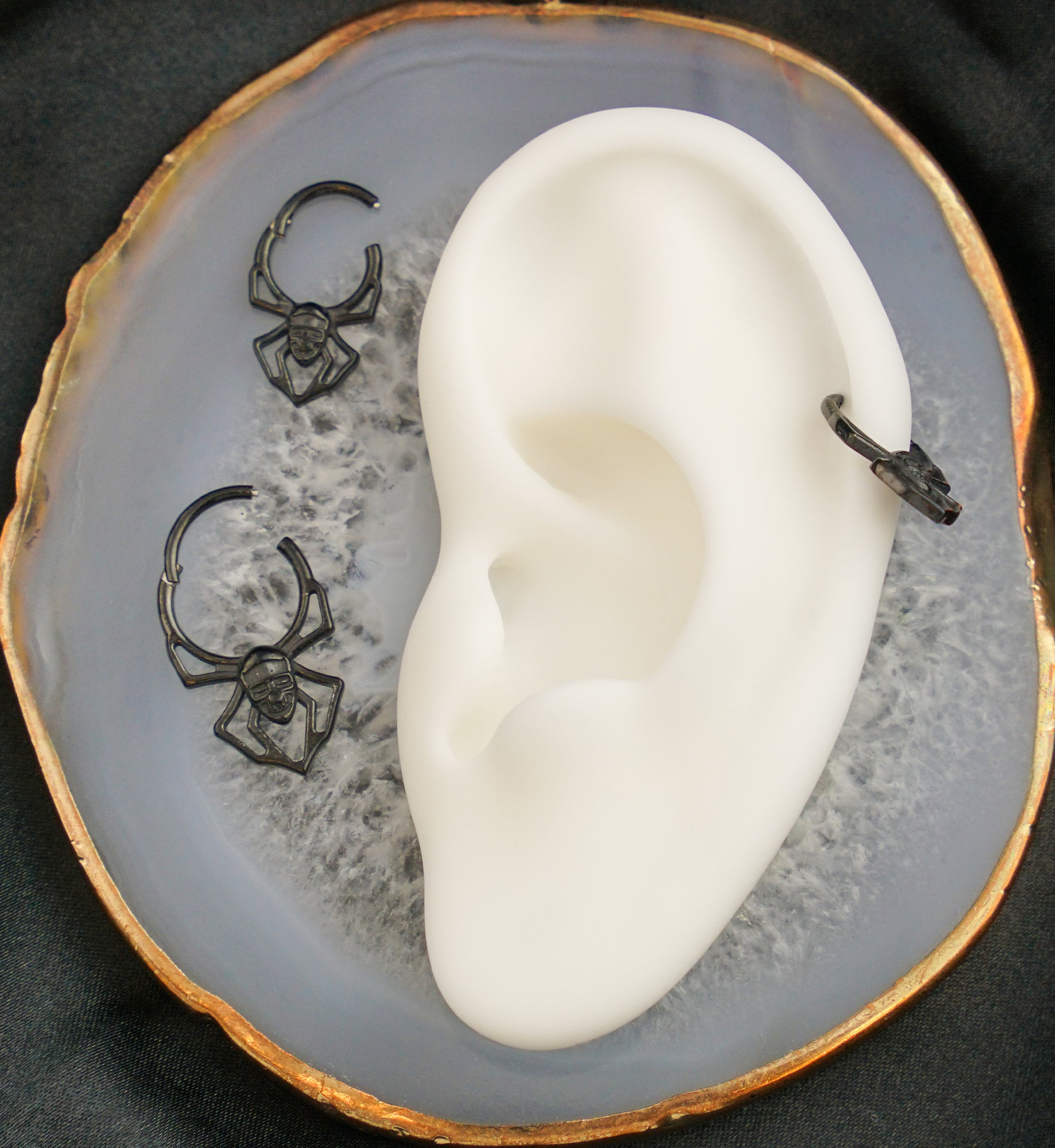 Black PVD Skull Face Spider Stainless Steel Hinged Segment Ring