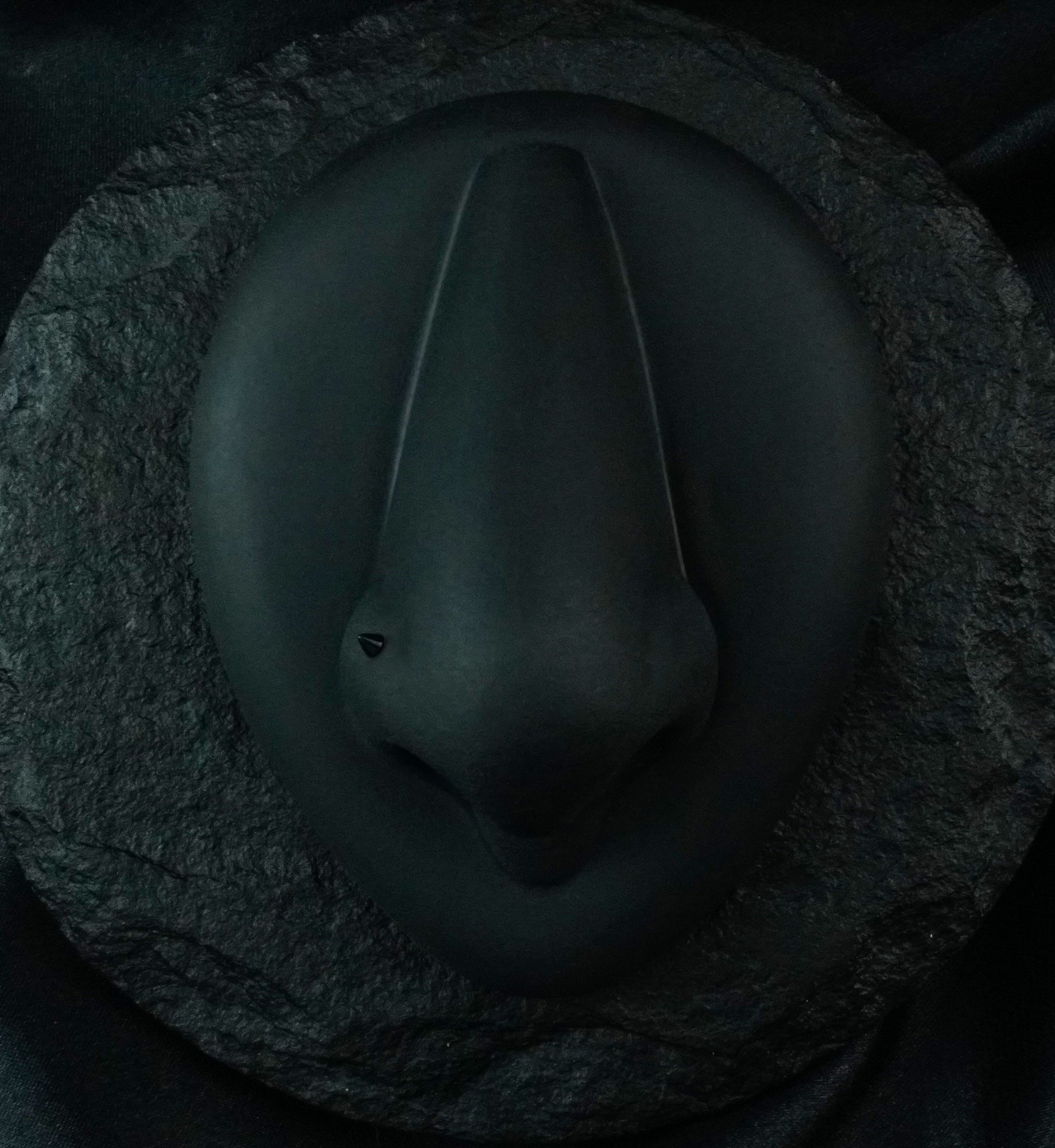 Black PVD Spike Titanium Nose Screw