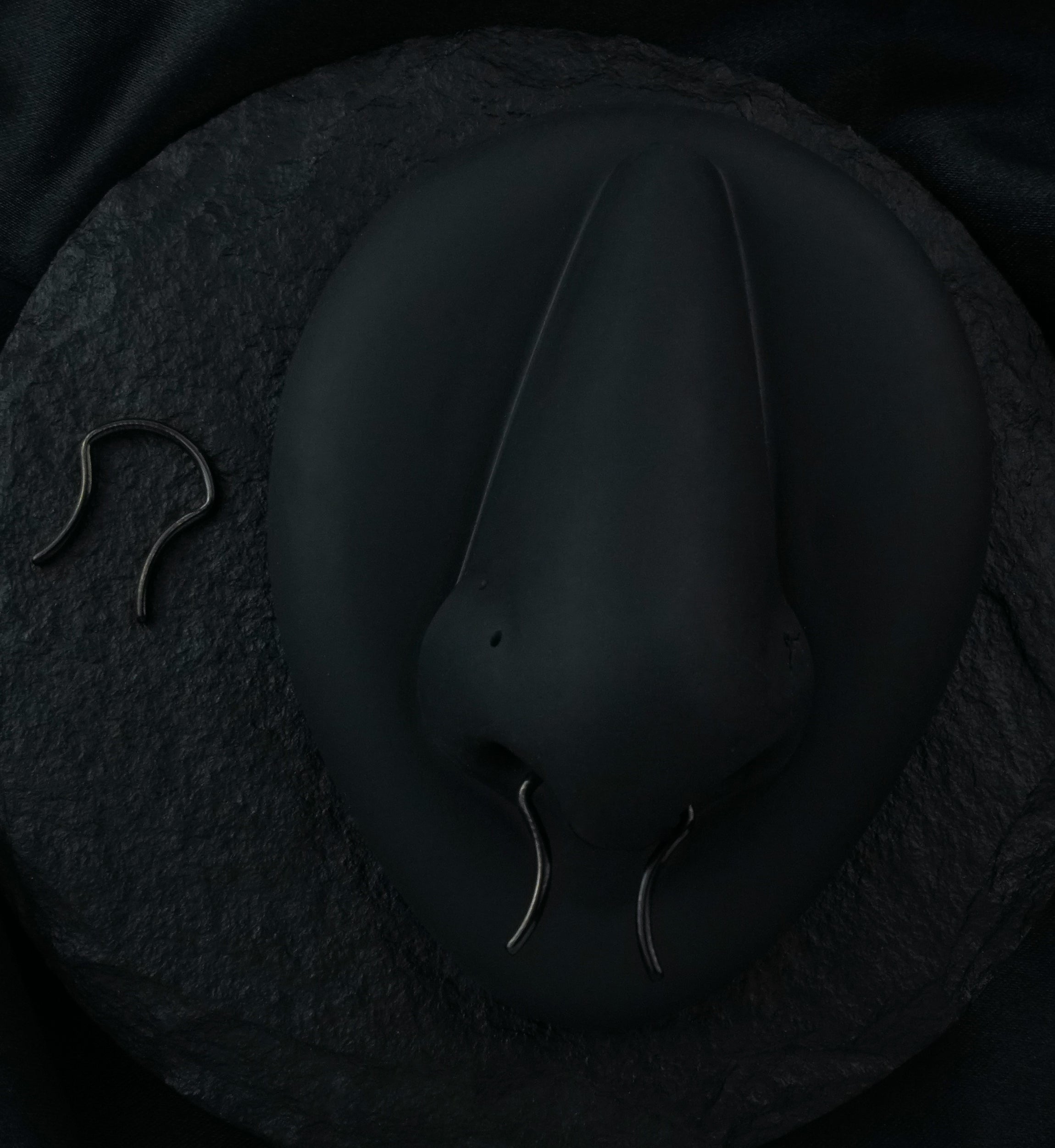 Black PVD Stainless Steel Septum Ring