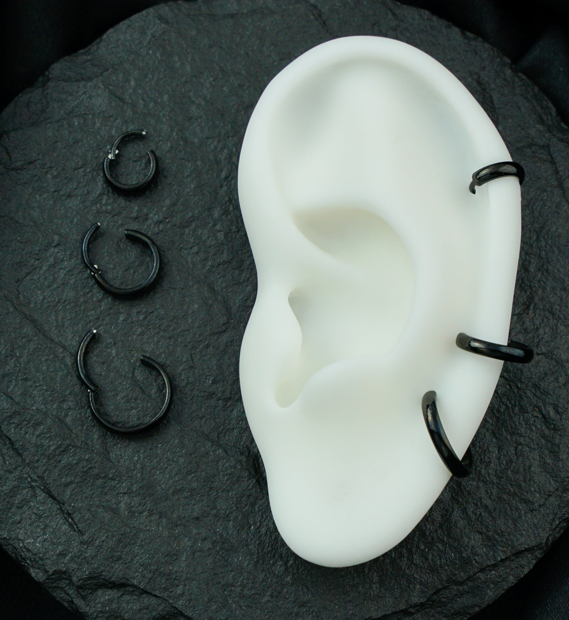 Black PVD Thick Rim Titanium Hinged Segment Ring