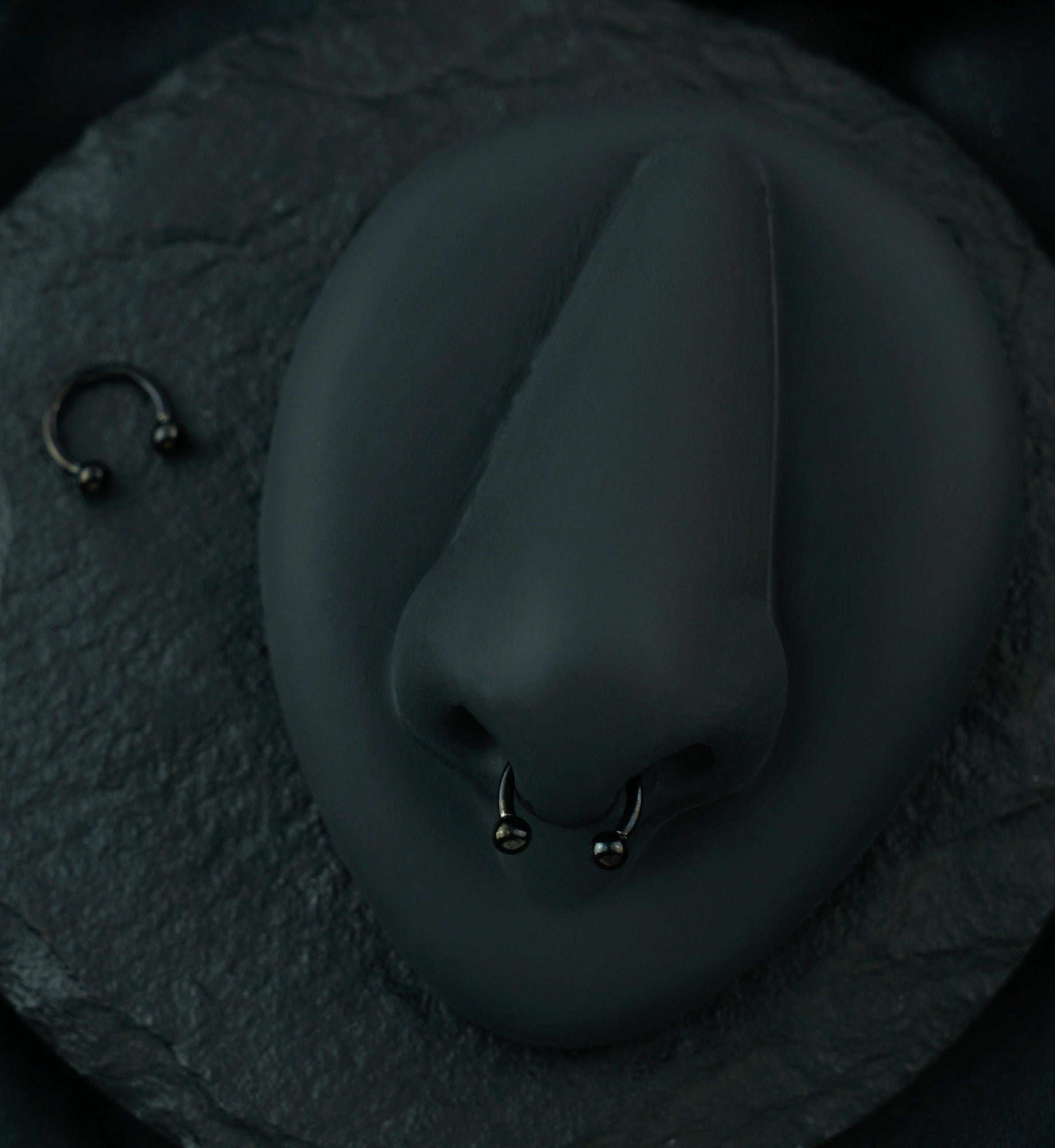 Black PVD Titanium Circular Barbell