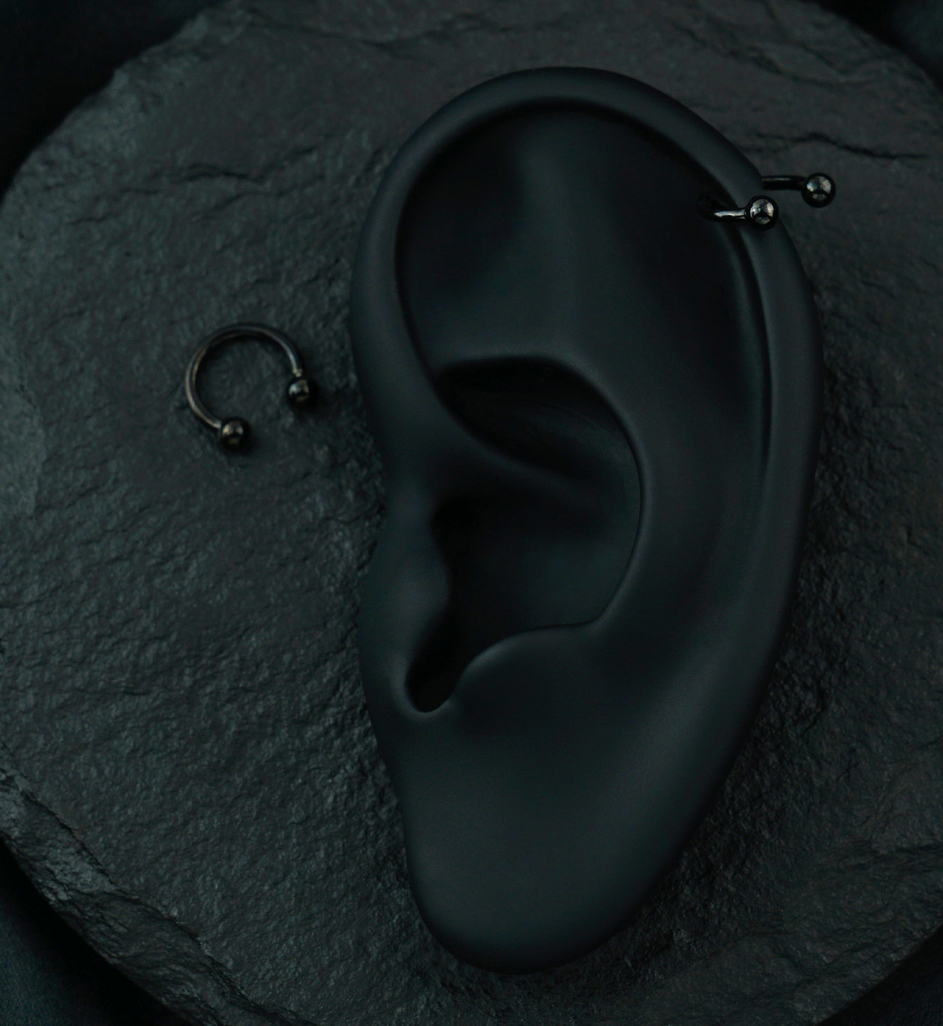 Black PVD Titanium Circular Barbell