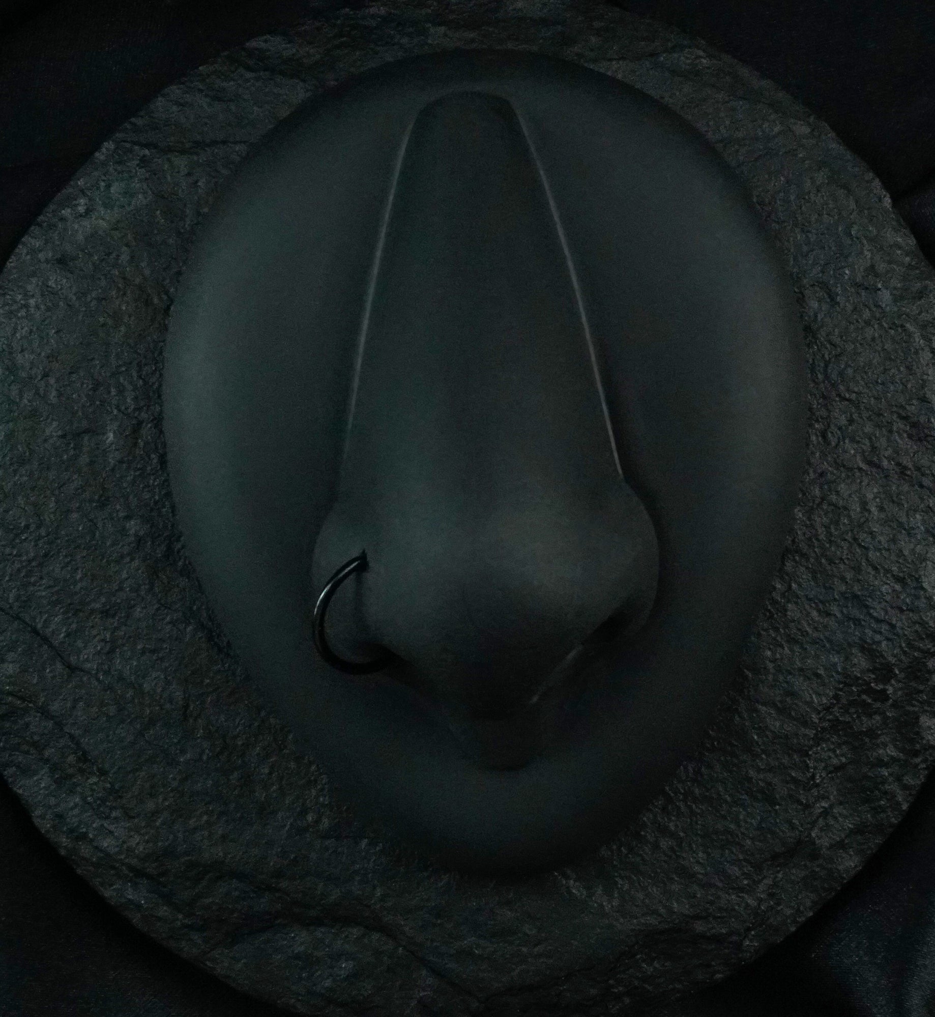 Black PVD Titanium Flat Nose Curve Ring