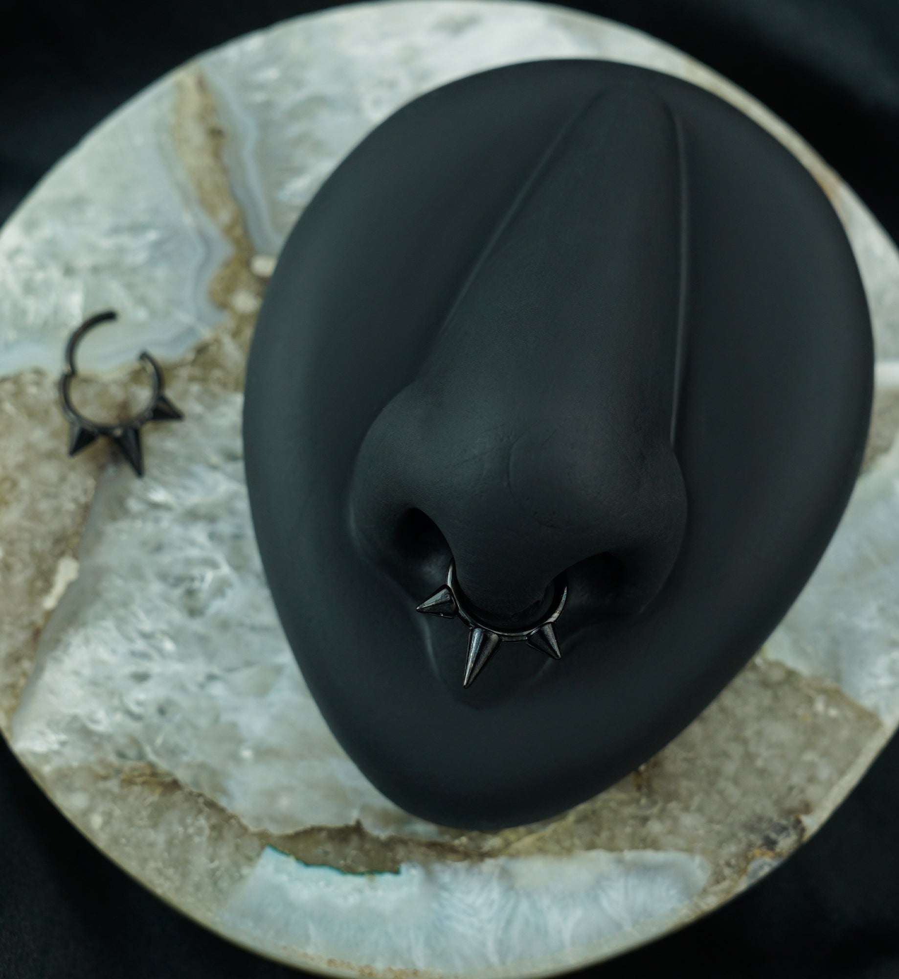 Black PVD Titanium Hinged Spiked Segment Ring