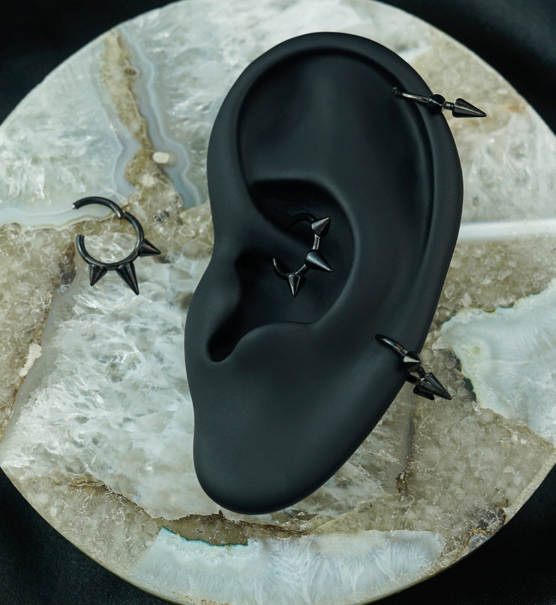 Black PVD Titanium Hinged Spiked Segment Ring