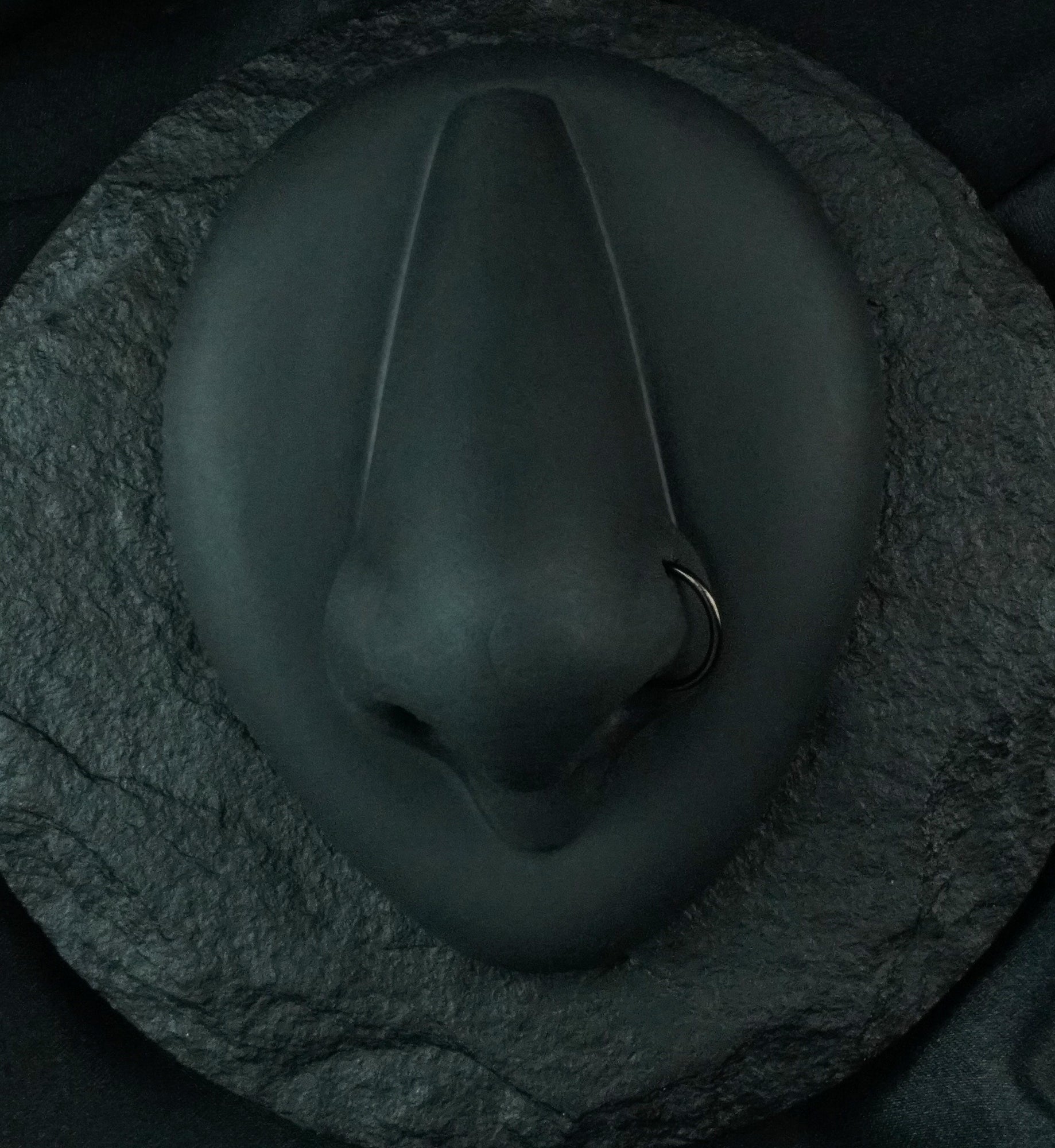 Black PVD Titanium Nose Ring Hoop