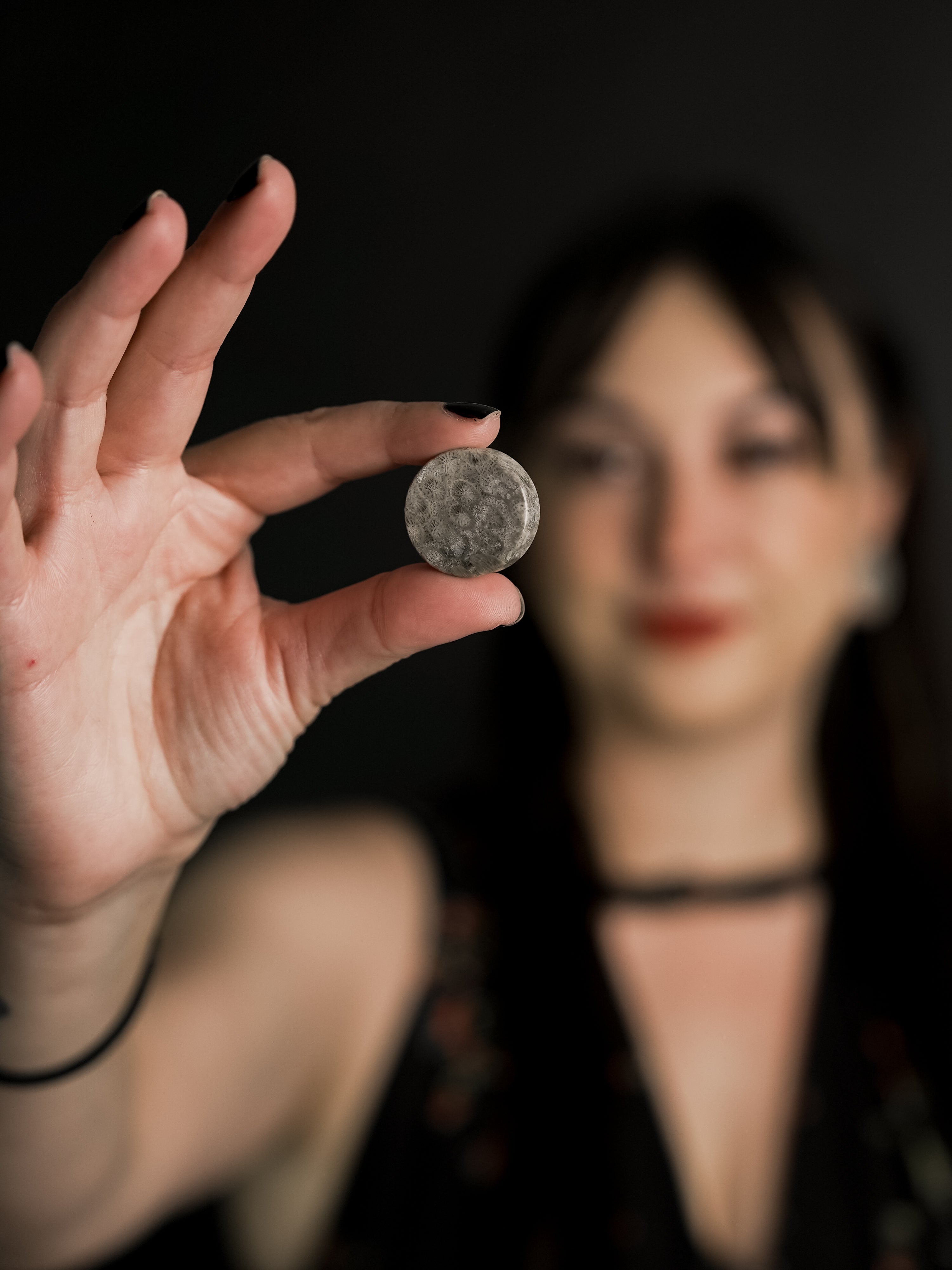 Blue Fossilized Coral Stone Plugs
