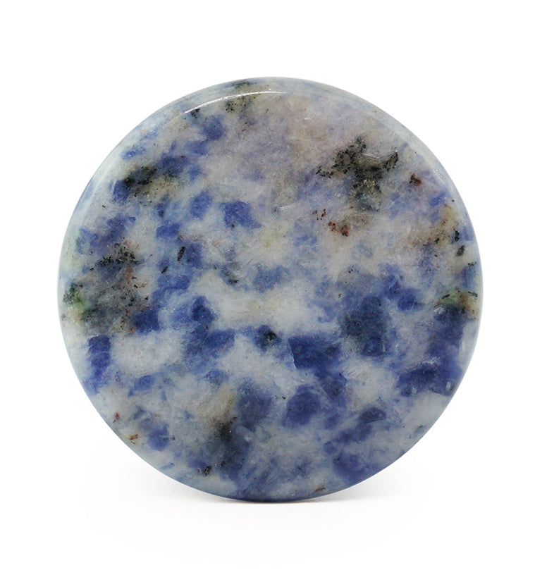 Blue Spot Jasper Stone Plugs