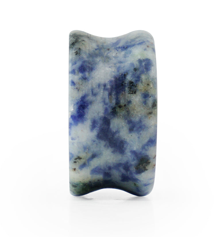 Blue Spot Jasper Stone Plugs