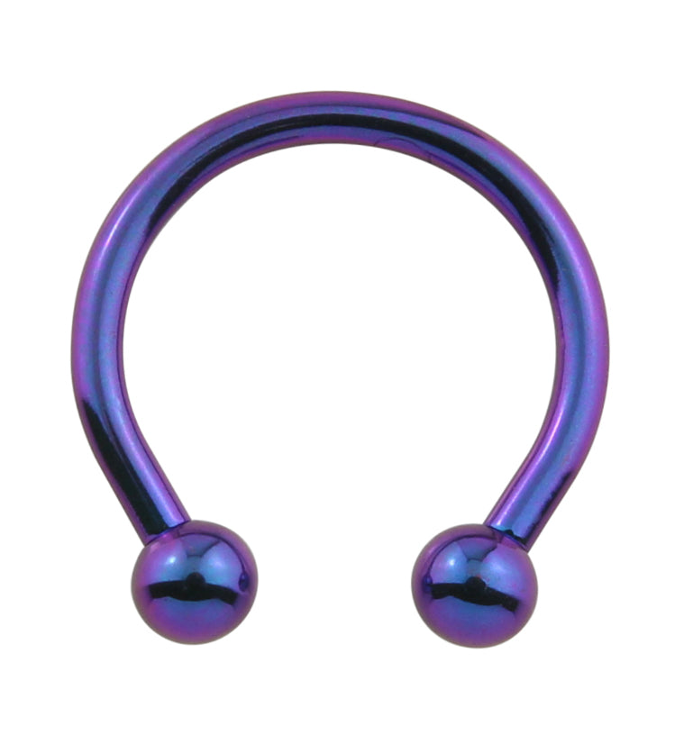 Blurple Titanium Circular Barbells