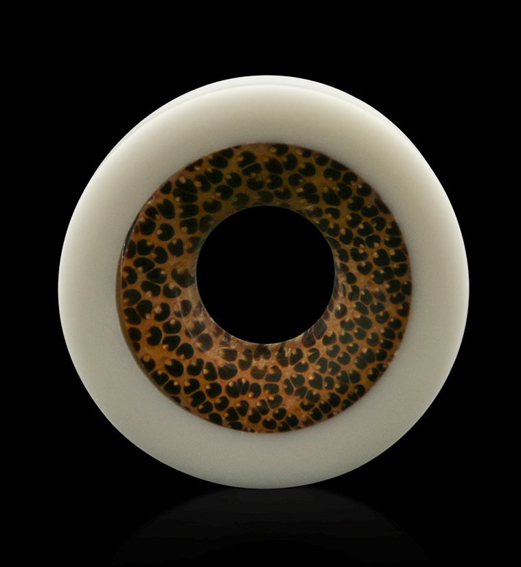 Concave Bone Tunnel Plugs With Coconut Inlay