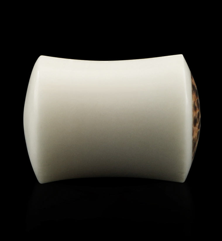 Bone Plugs with Coconut Wood Inlay