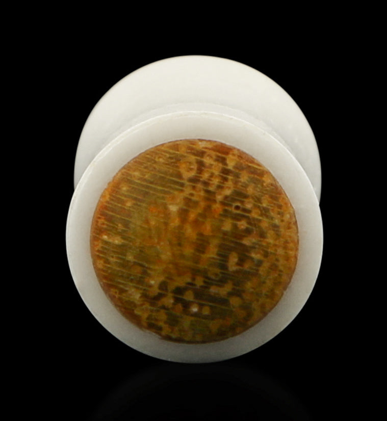 Bone Plugs with Teak Wood Inlay